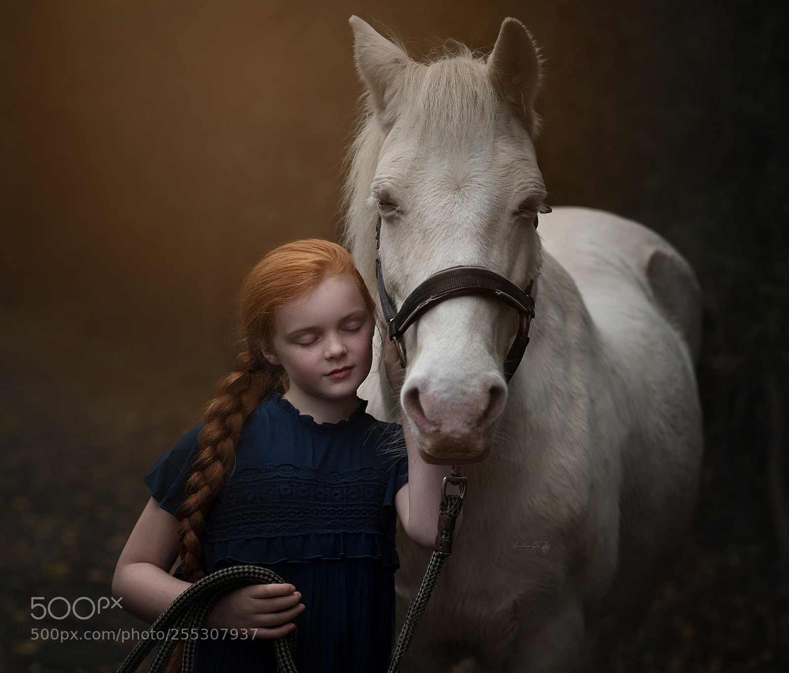 Nikon D810 sample photo. Daydreaming photography