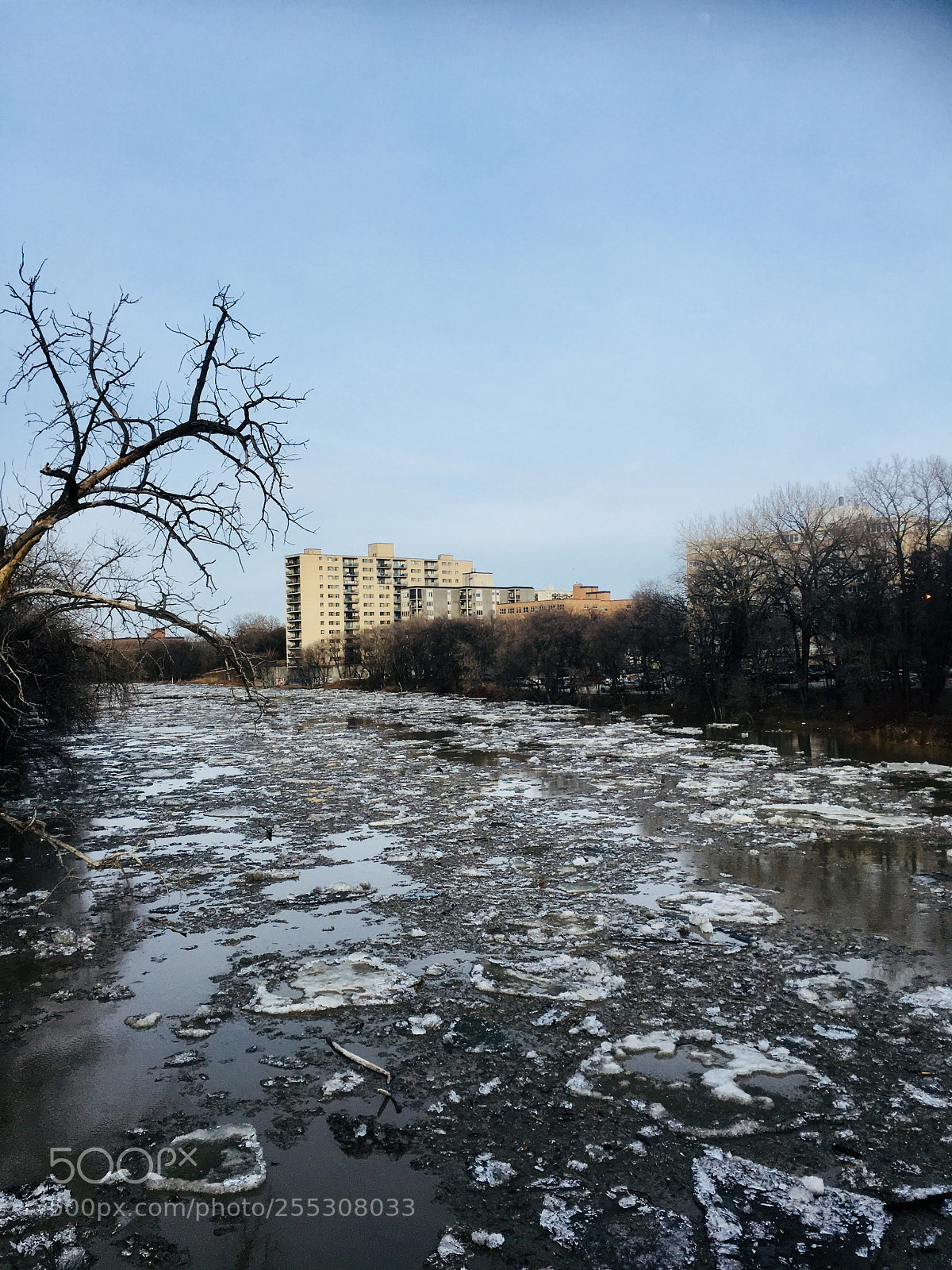 Apple iPhone SE sample photo. Ice flowing down the photography