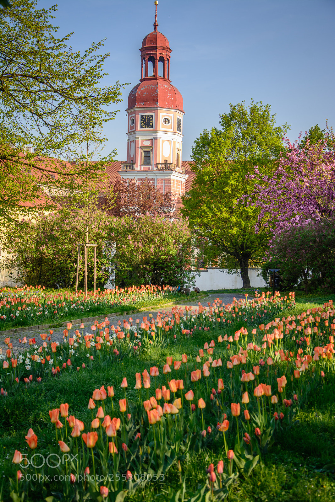 Nikon D7100 sample photo. Springtime photography