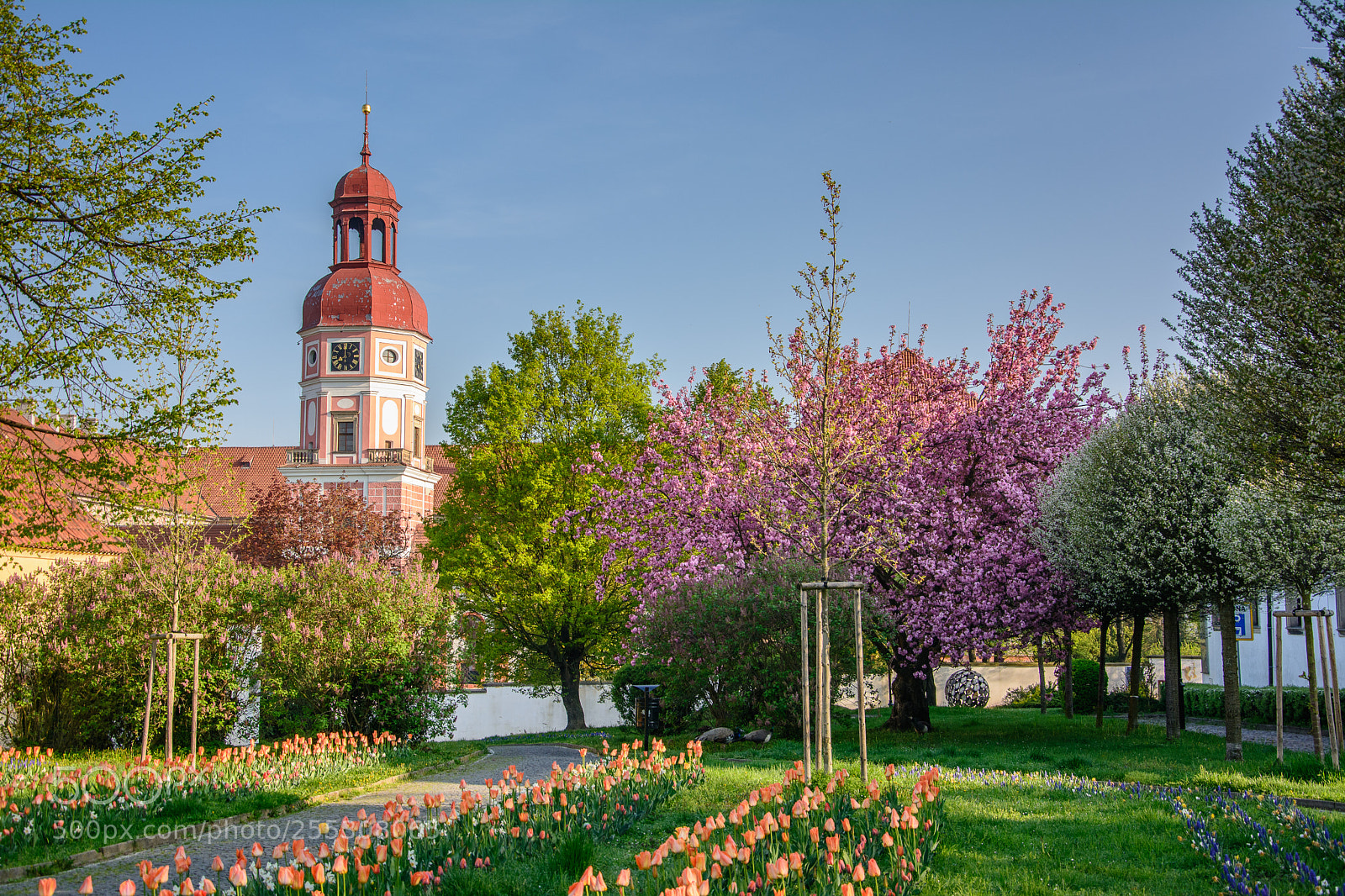 Nikon D7100 sample photo. Springtime photography