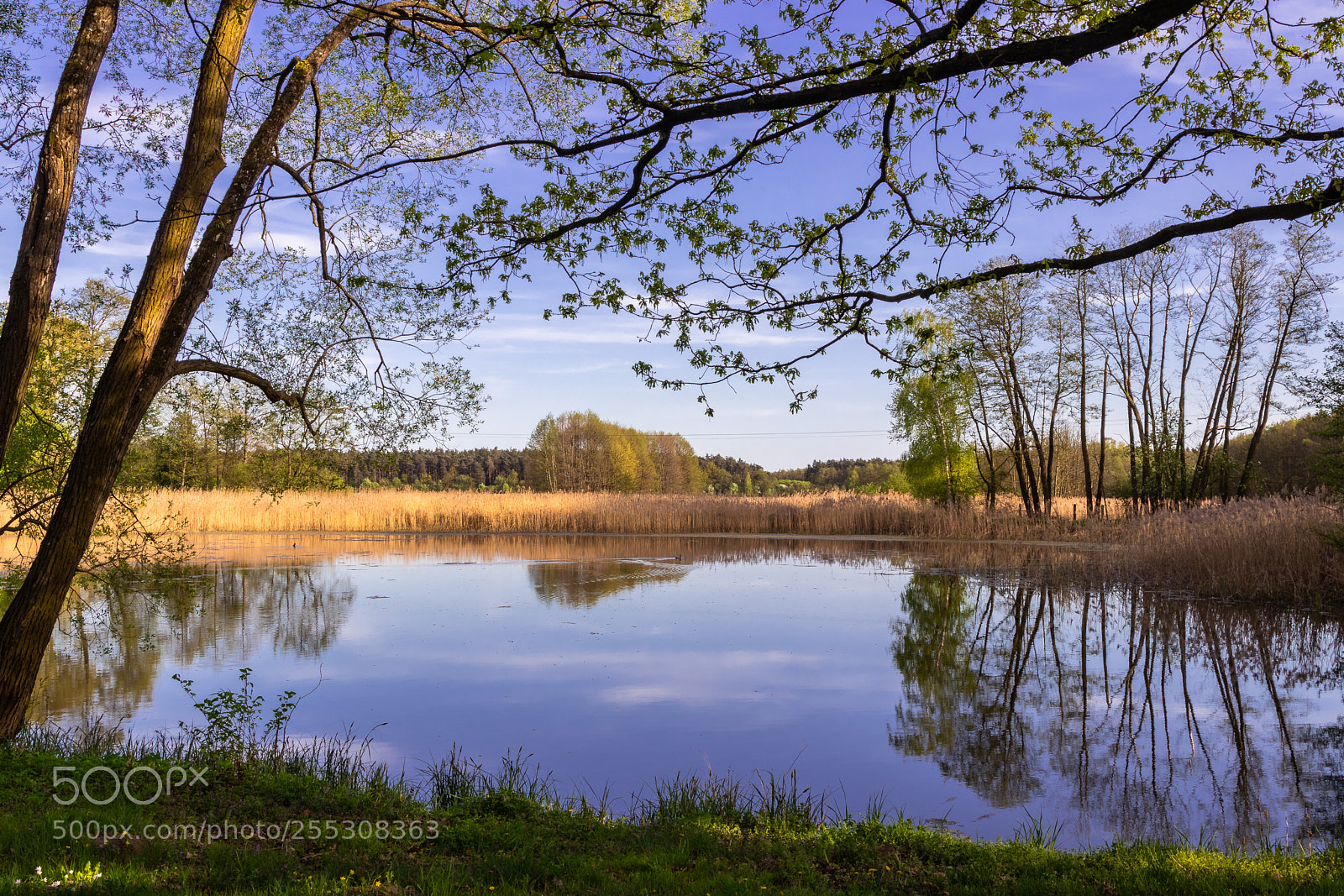 Canon EOS 80D sample photo. Idyllic countryside photography
