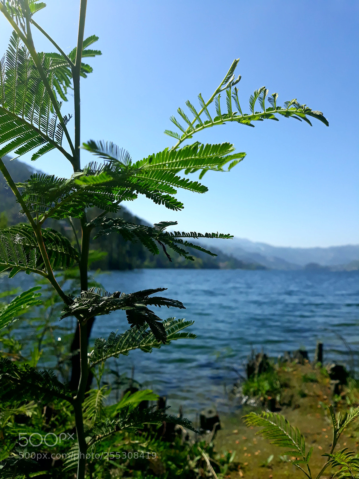 Samsung Galaxy J5 sample photo. Nature3 photography