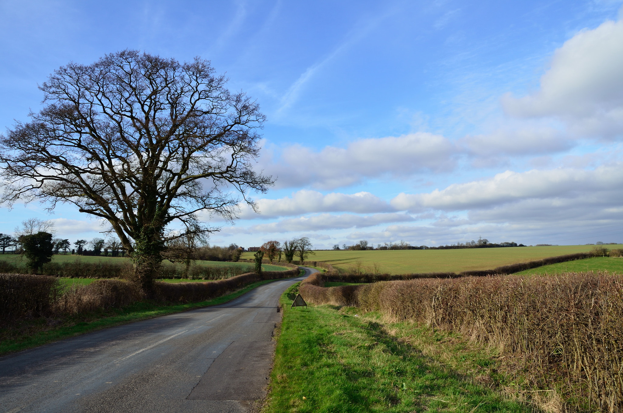 Nikon D7000 sample photo. Road photography