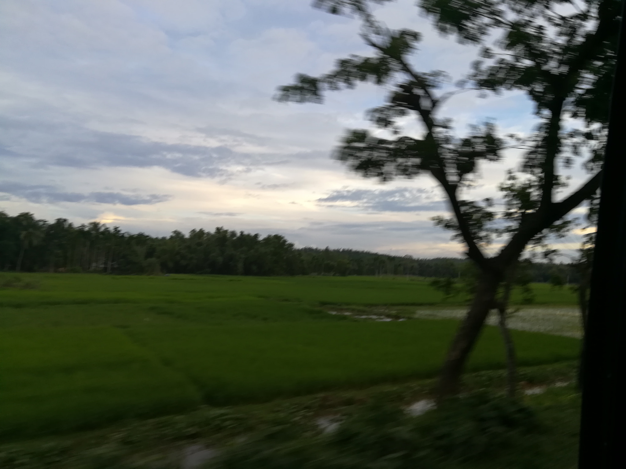 HUAWEI GR5 2017 sample photo. Bty photography