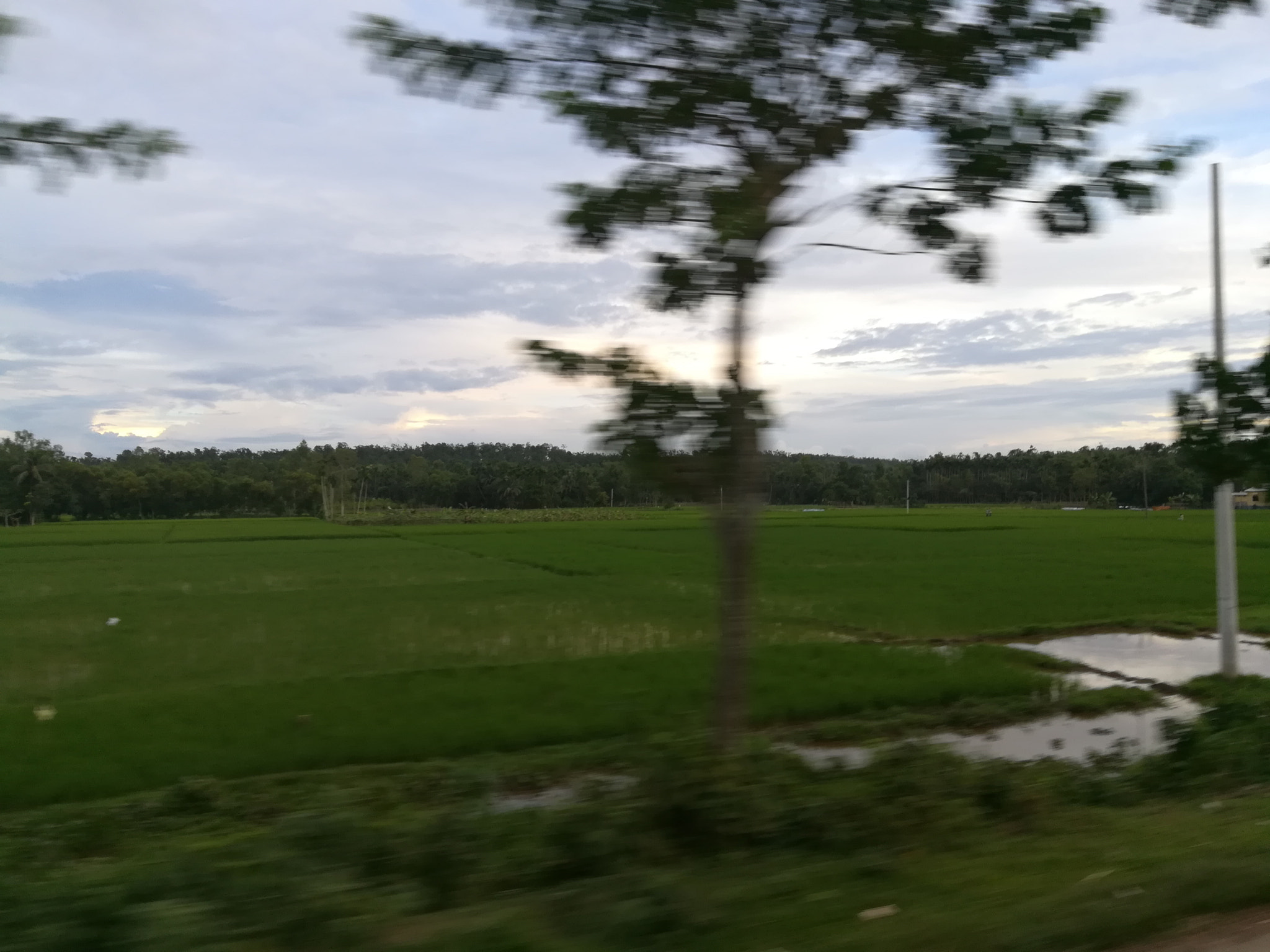 HUAWEI GR5 2017 sample photo. Bty photography