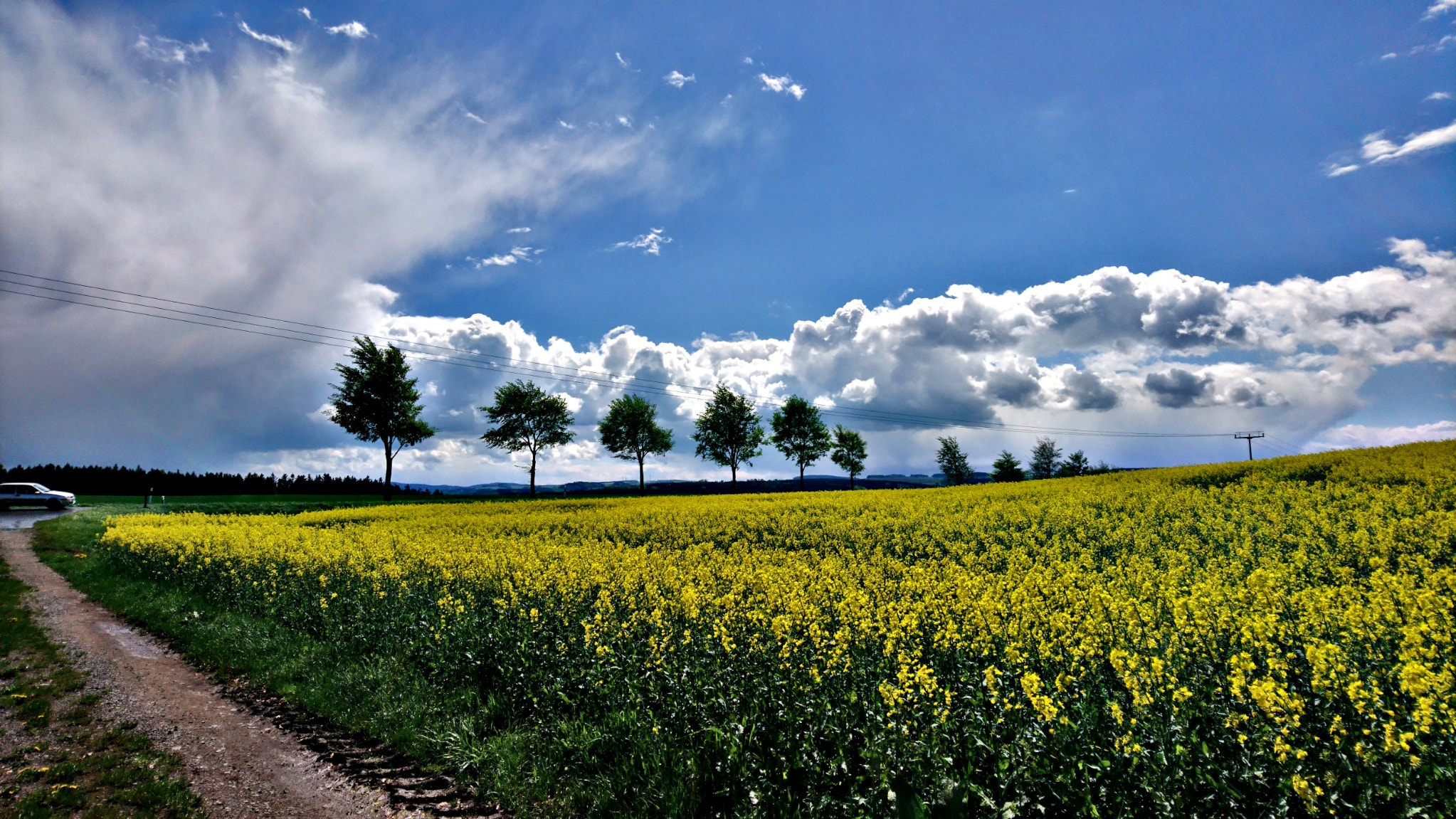 Sony Xperia X sample photo. Am rapsfeld photography