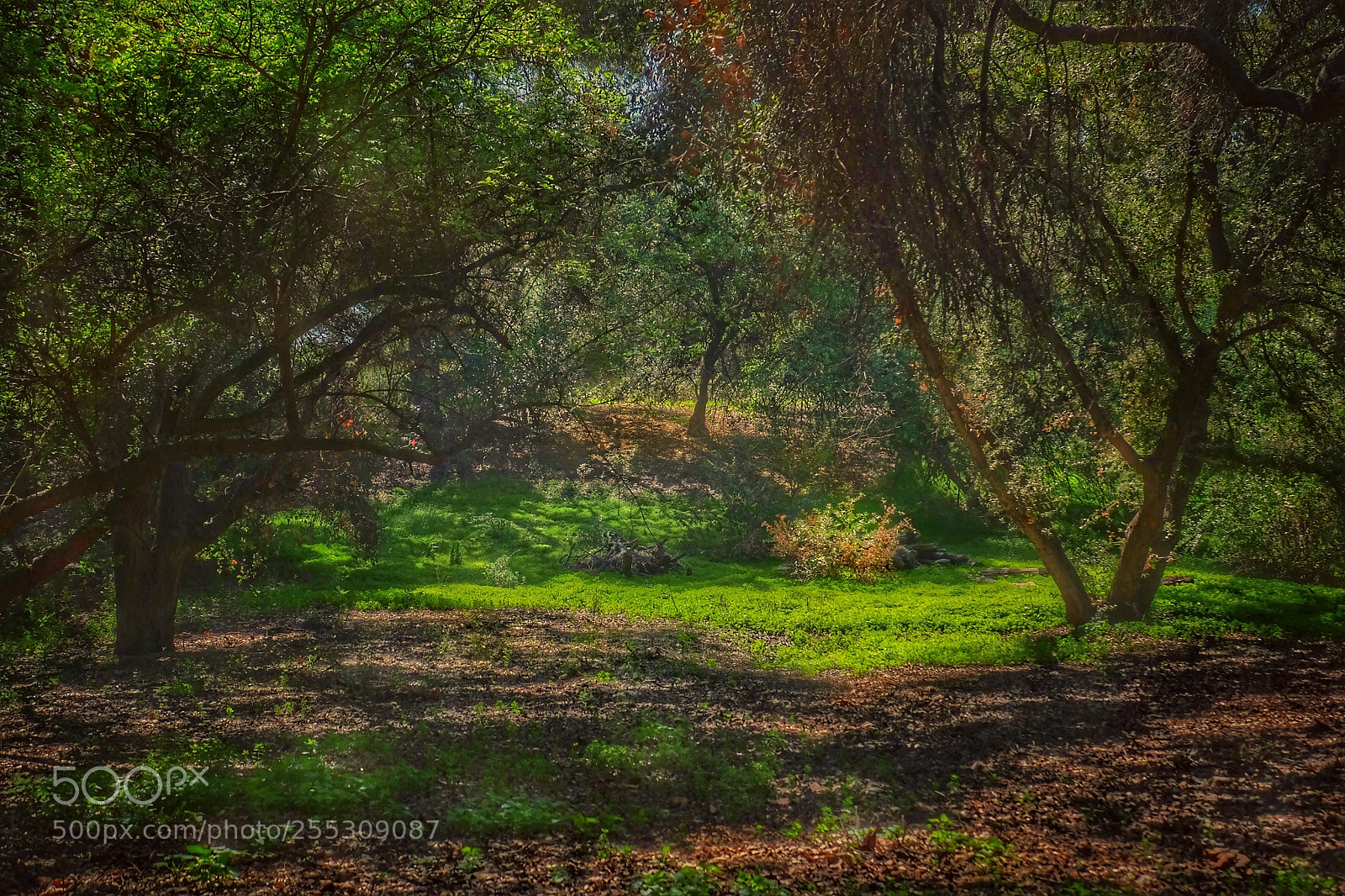 Fujifilm X-T1 sample photo. A sun touching point photography