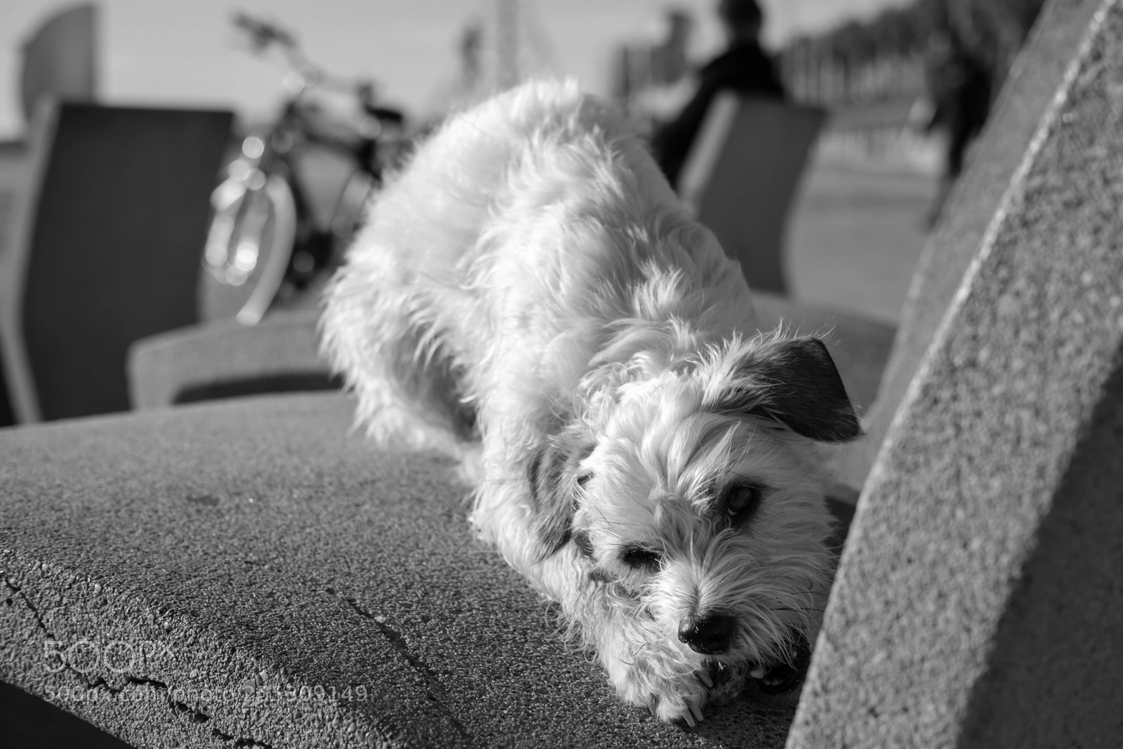 Fujifilm X-T20 sample photo. Untitled photography