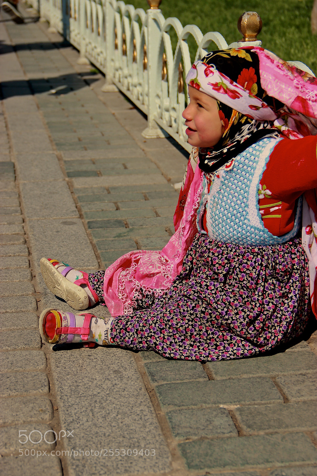 Canon EOS 600D (Rebel EOS T3i / EOS Kiss X5) sample photo. Tradgnkdcrengarenk photography