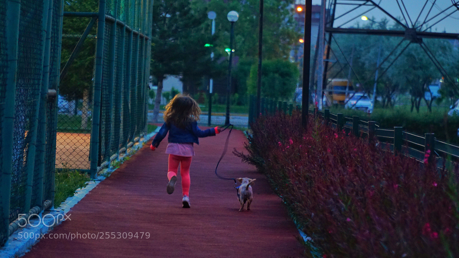 Sony a6000 sample photo. Little girl photography