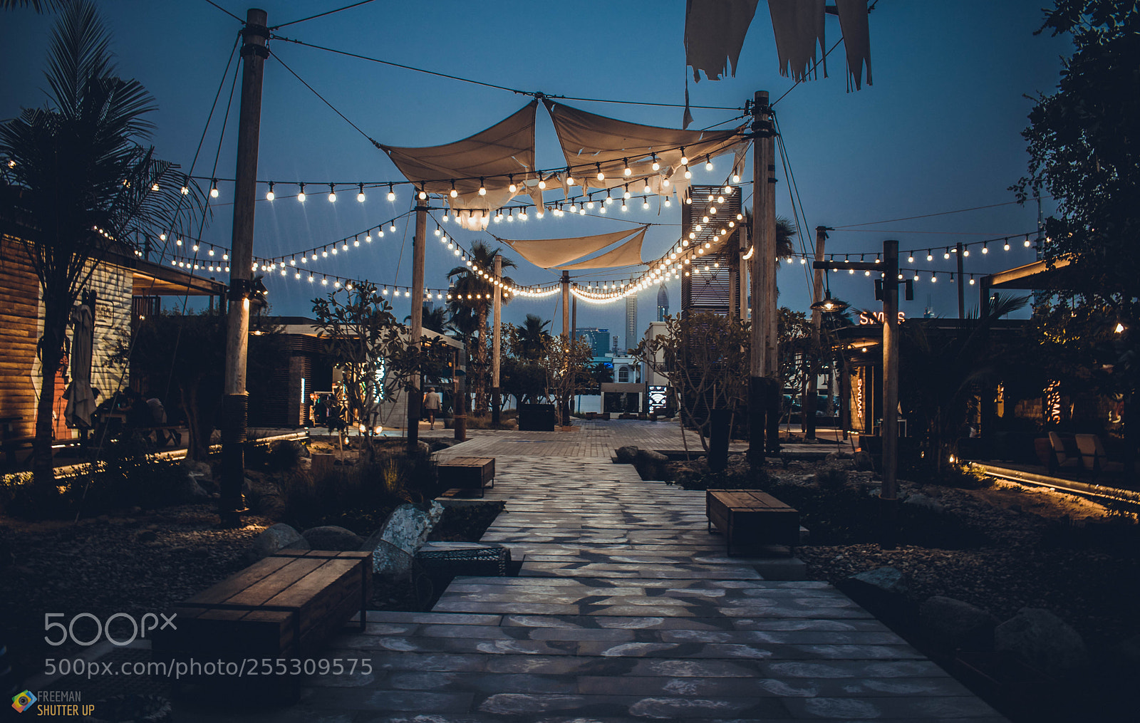 Nikon D5300 sample photo. La mer beach-dubai photography