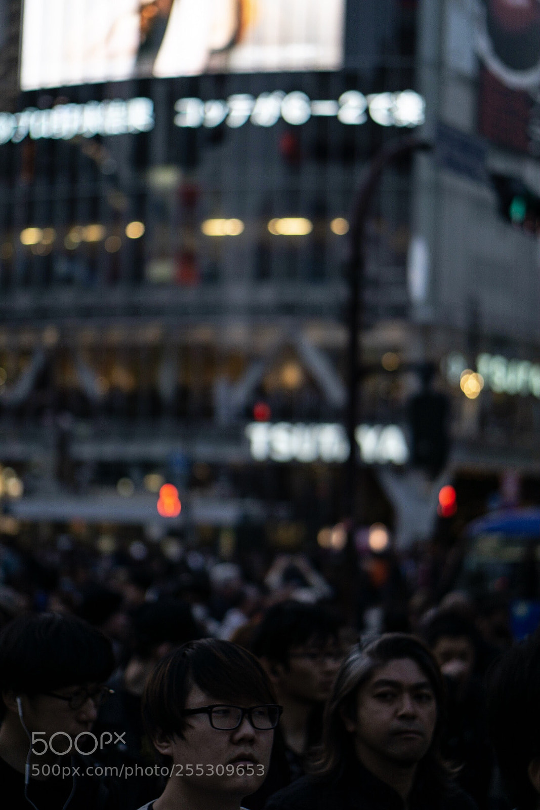 Sony a6000 sample photo. Focus→japan  photography