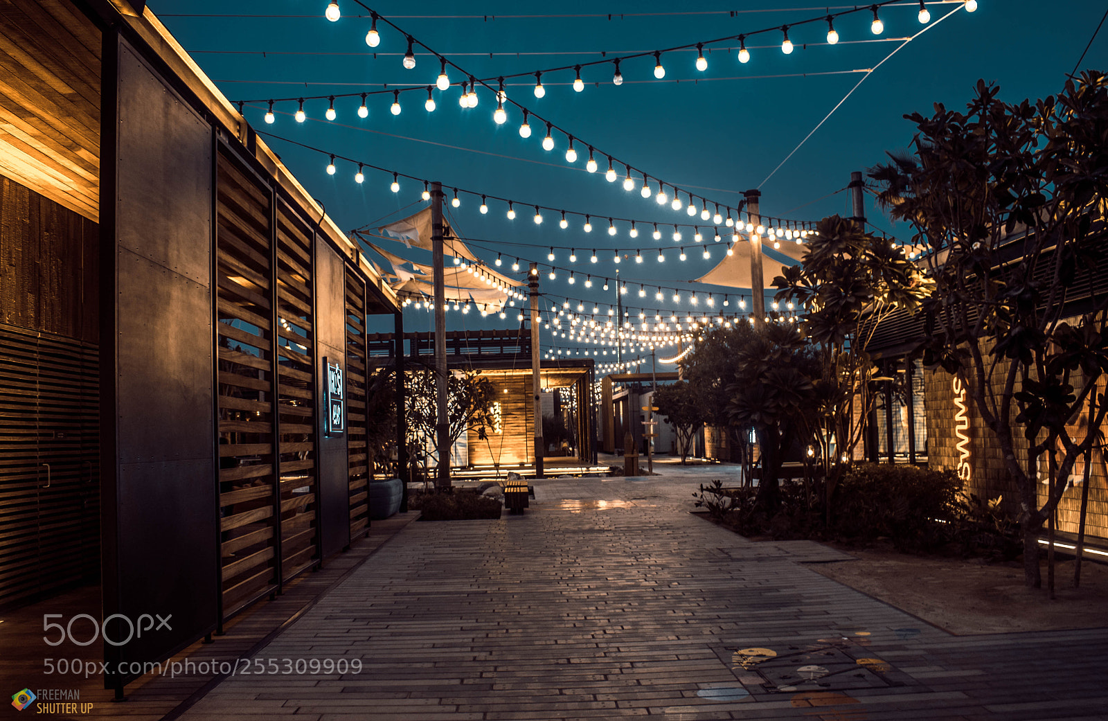 Nikon D5300 sample photo. Nightphotography-la mer photography