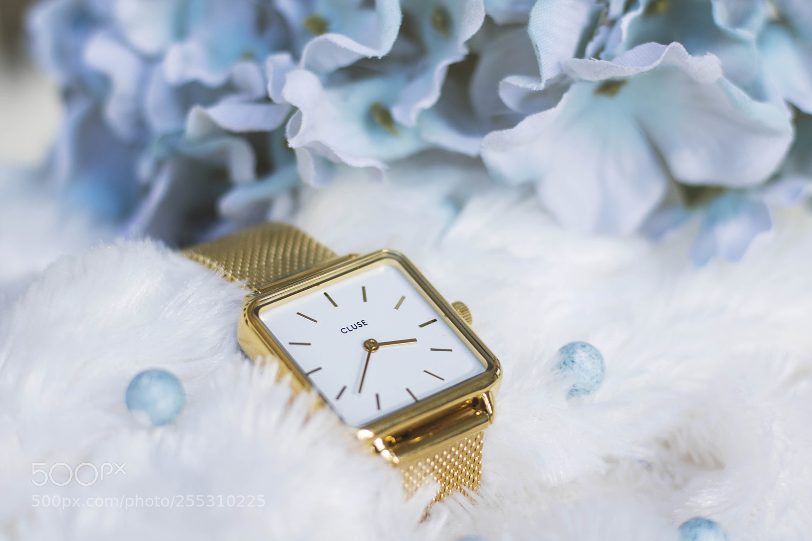Canon EOS 760D (EOS Rebel T6s / EOS 8000D) sample photo. Untitled photography