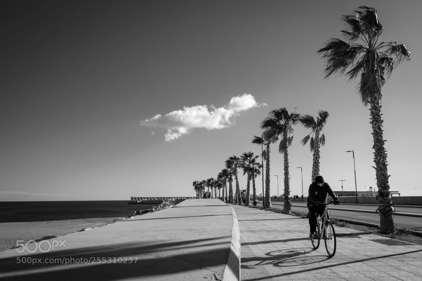 Fujifilm X-T20 sample photo. At the boardwalk photography
