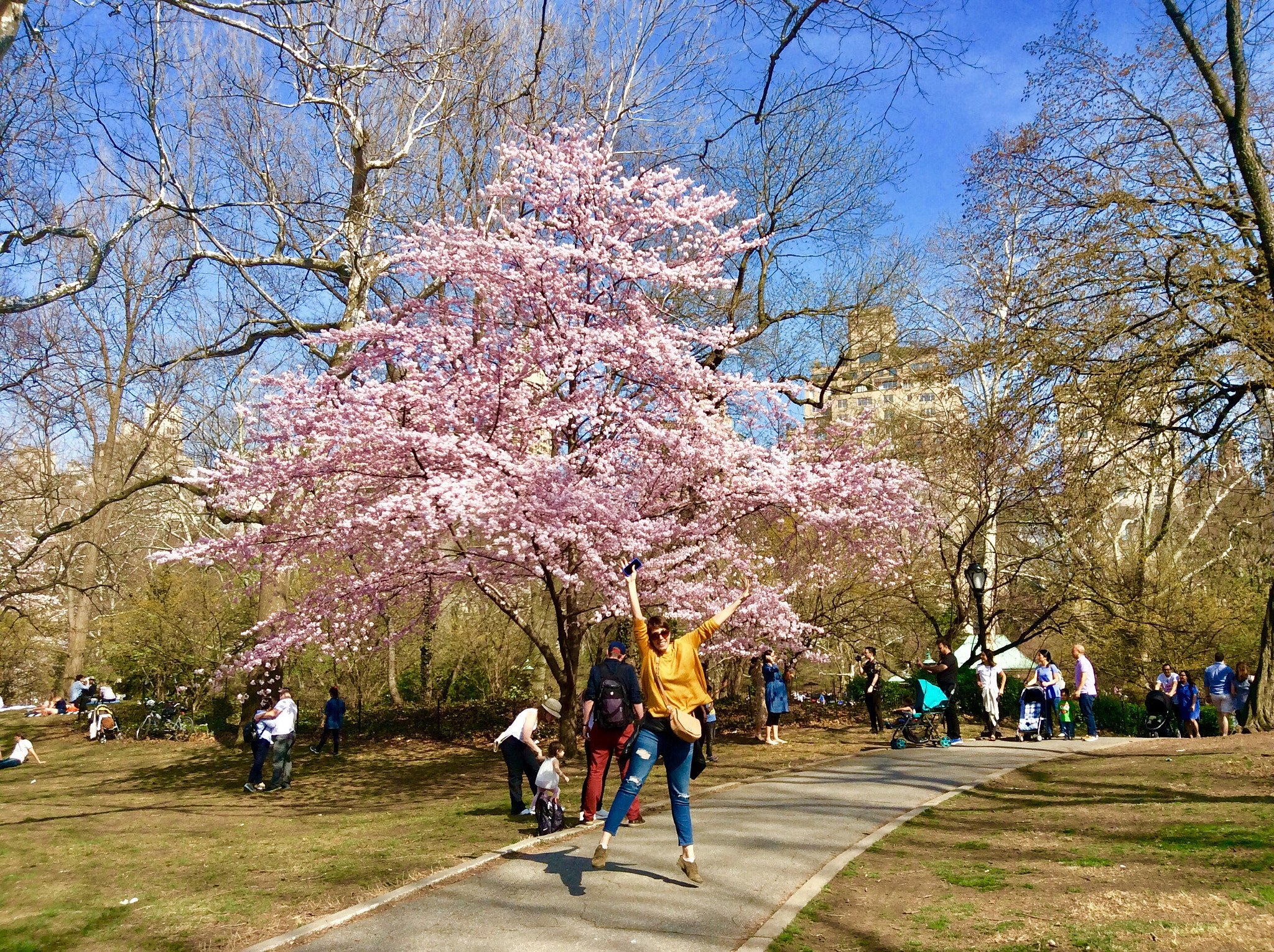 Apple iPad mini 2 sample photo. Dancing in the park! photography