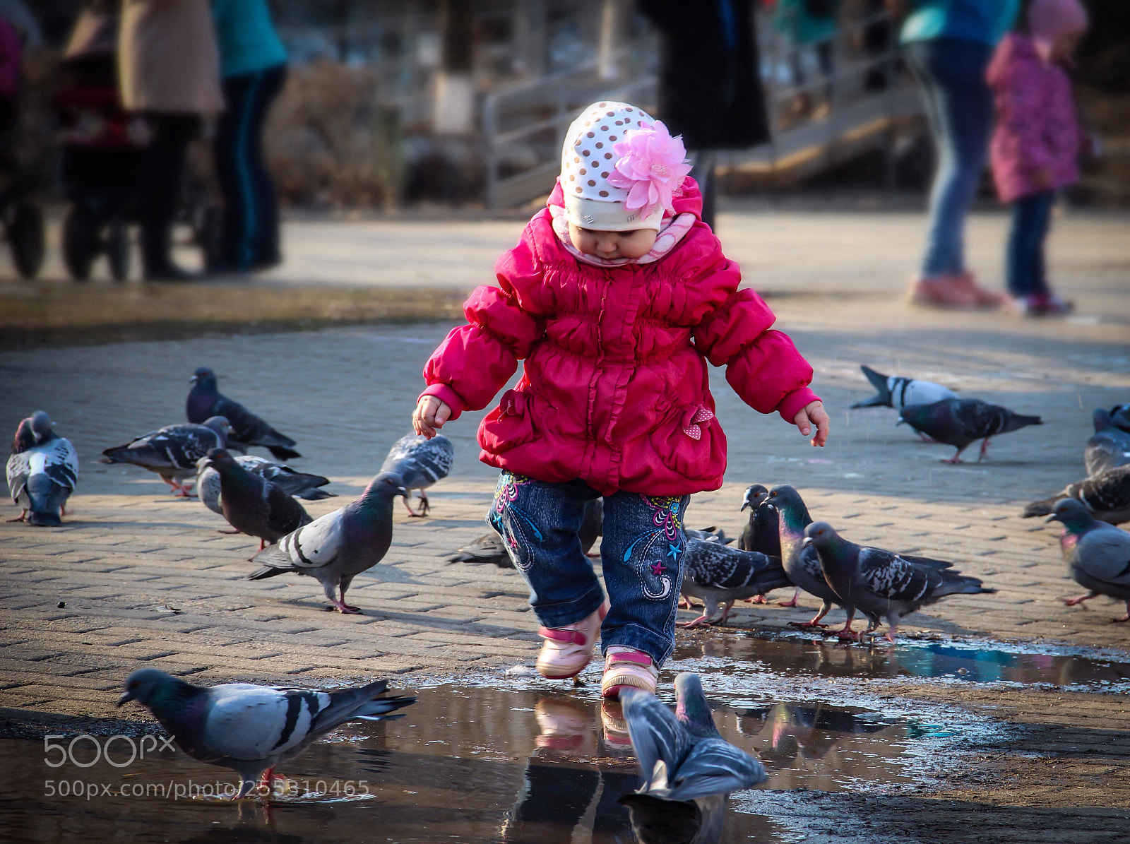 Canon EOS 600D (Rebel EOS T3i / EOS Kiss X5) sample photo. Top-top...  photography