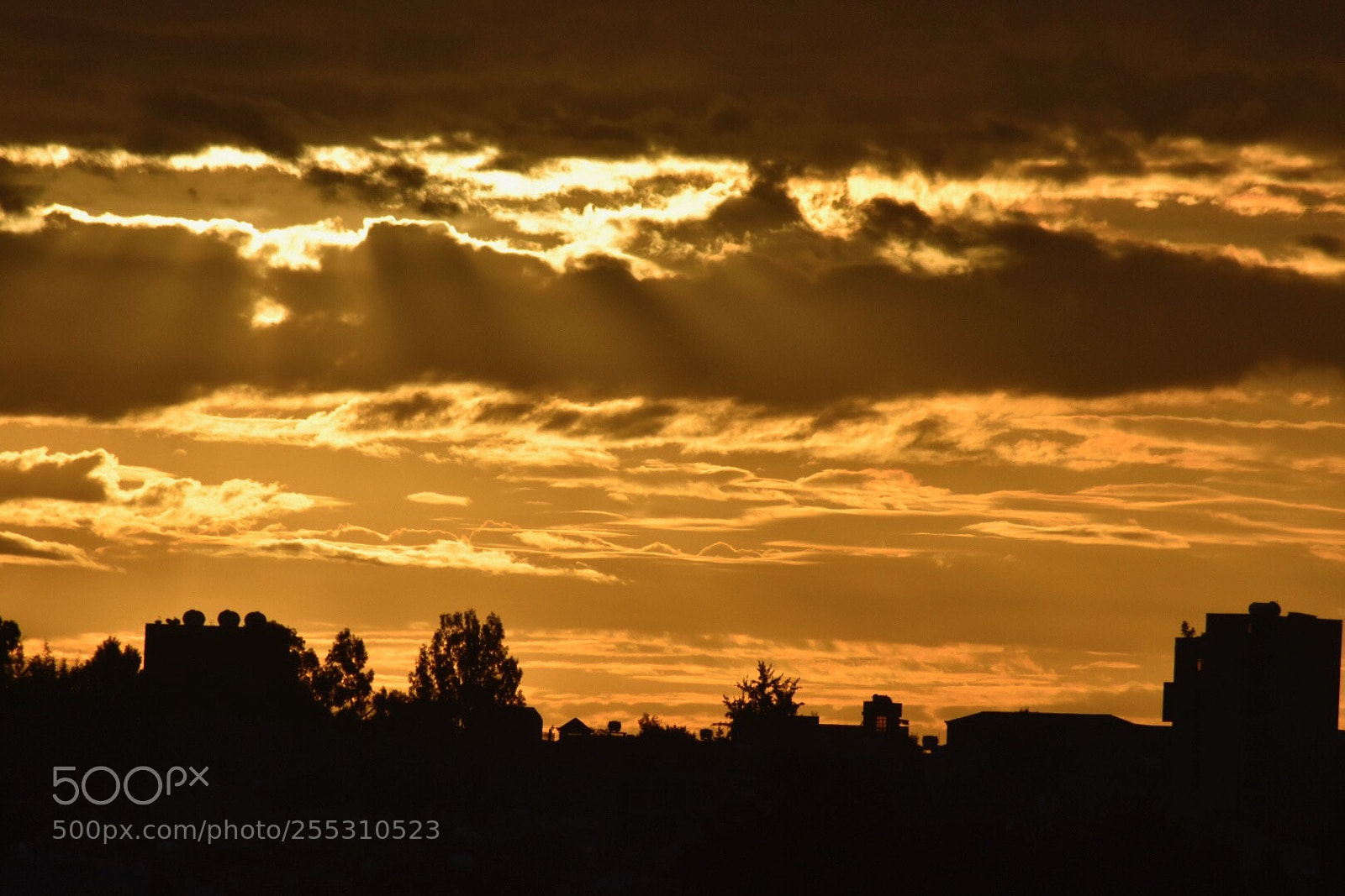 Nikon D7200 sample photo. This morning in addis photography