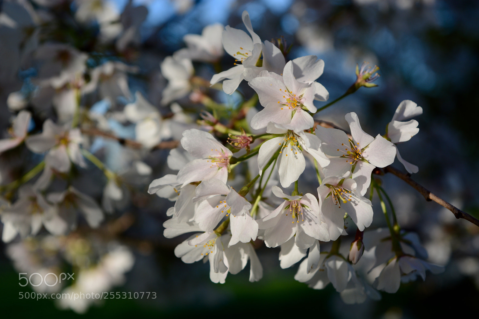 Nikon D7100 sample photo. Untitled photography