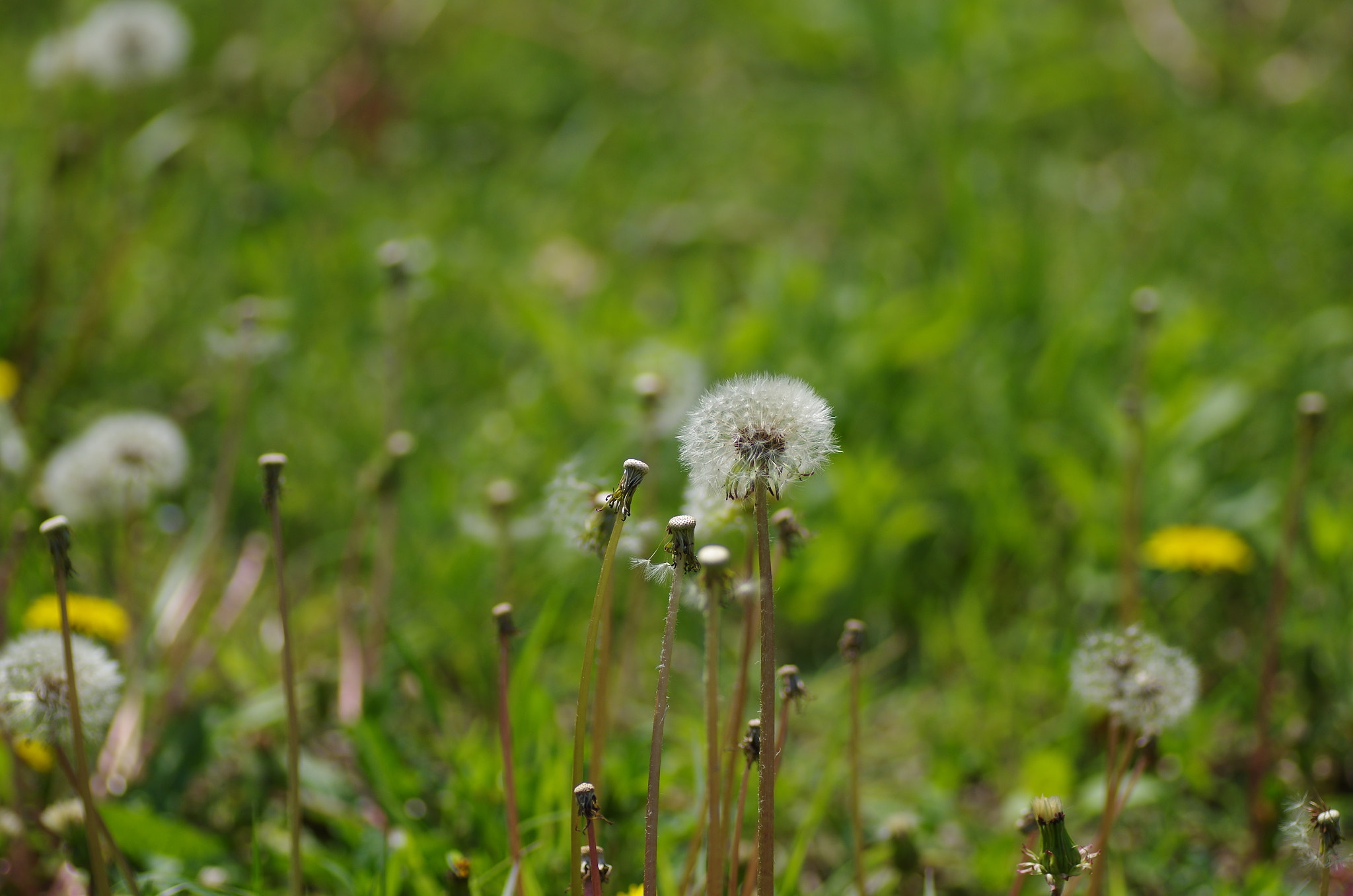 Pentax K-30 sample photo. Time of departure photography