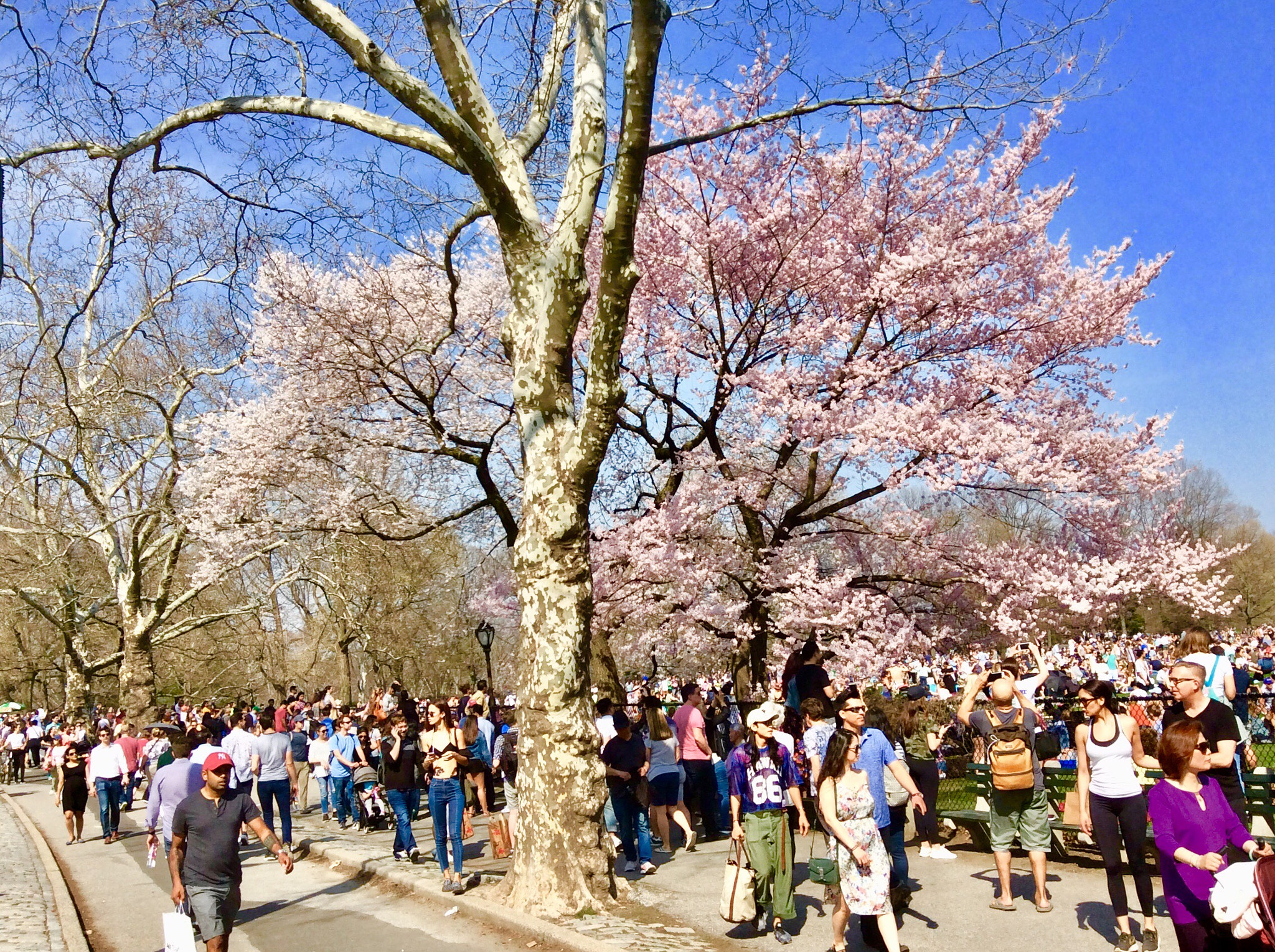 Apple iPad mini 2 sample photo. Enjoying spring! photography