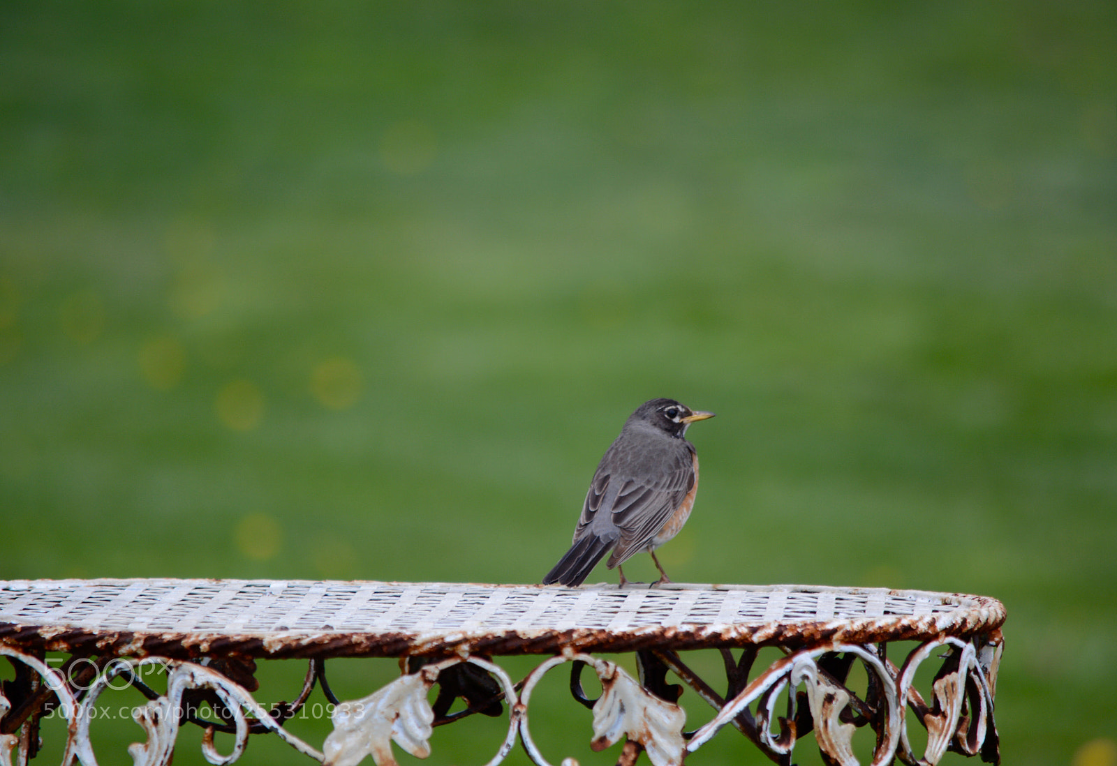 Nikon D7100 sample photo. Untitled photography