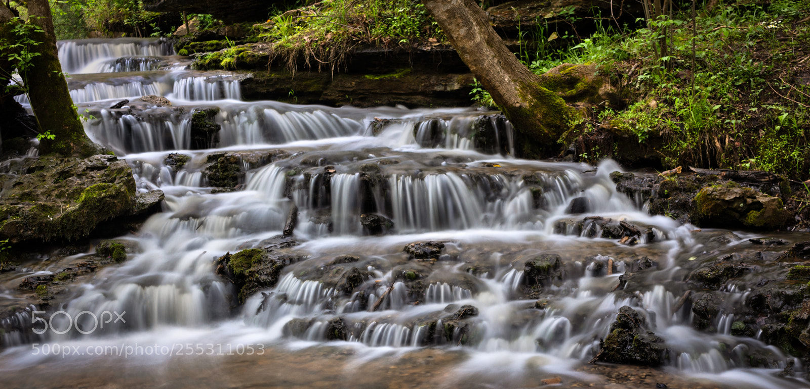 Sony a7R III sample photo. Little falls photography