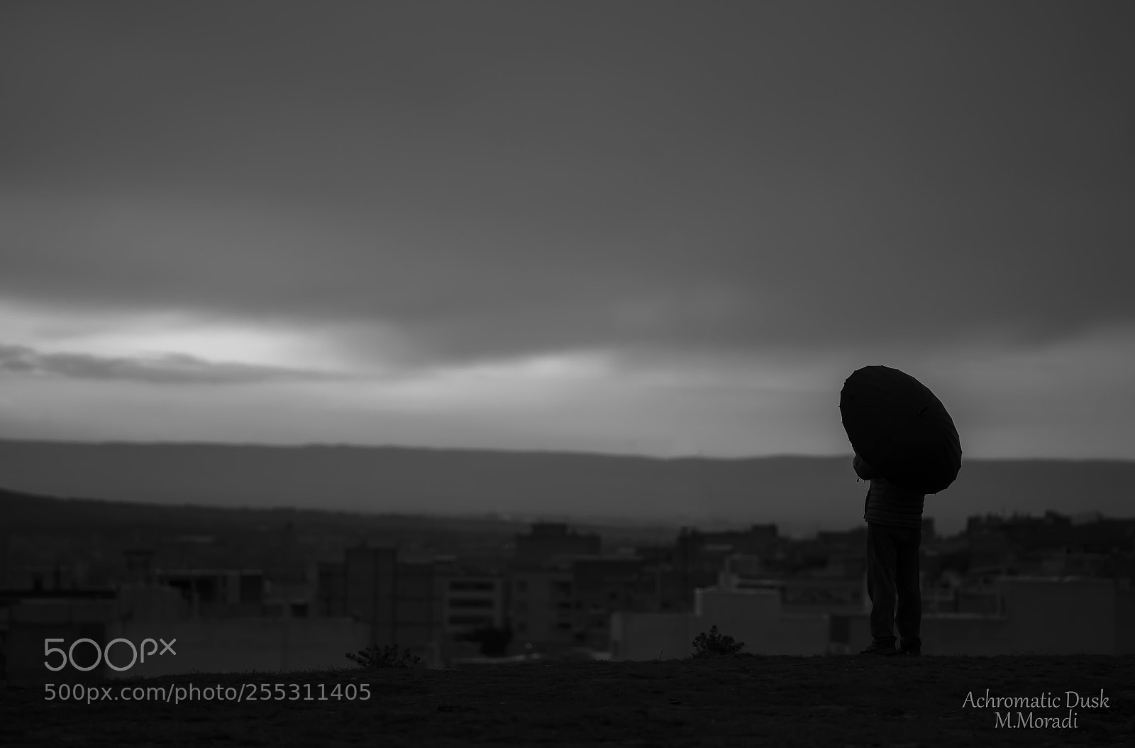 Canon EOS 6D sample photo. Untitled photography