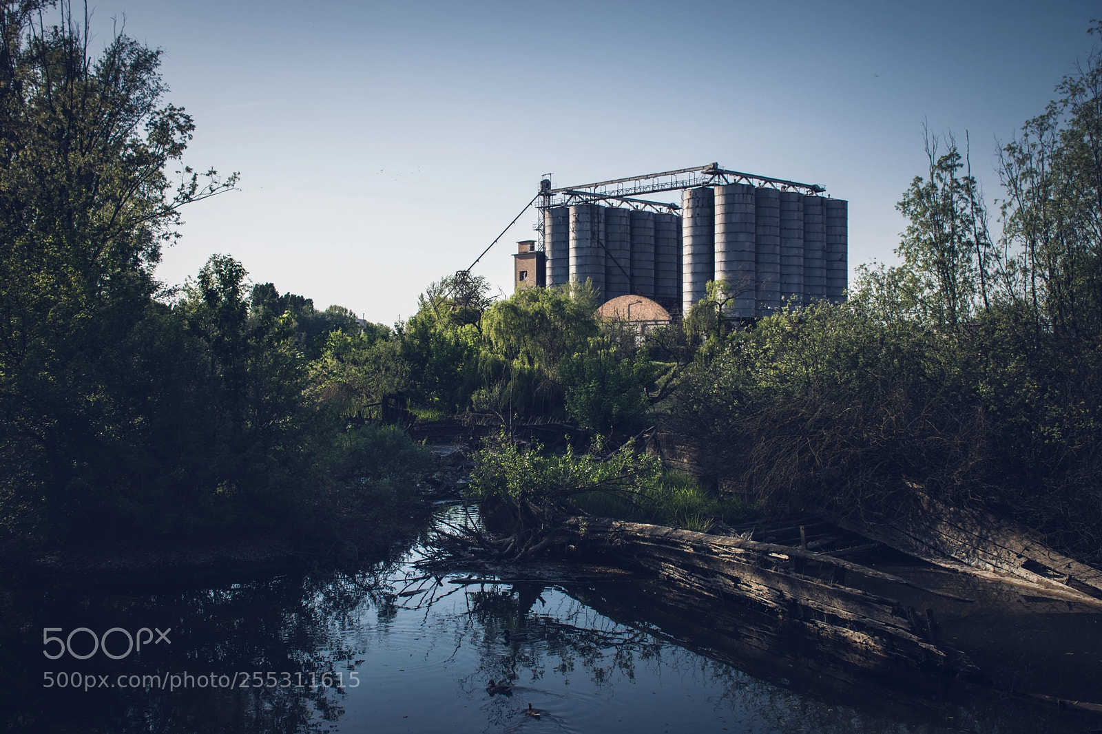 Nikon D3300 sample photo. Lost photography