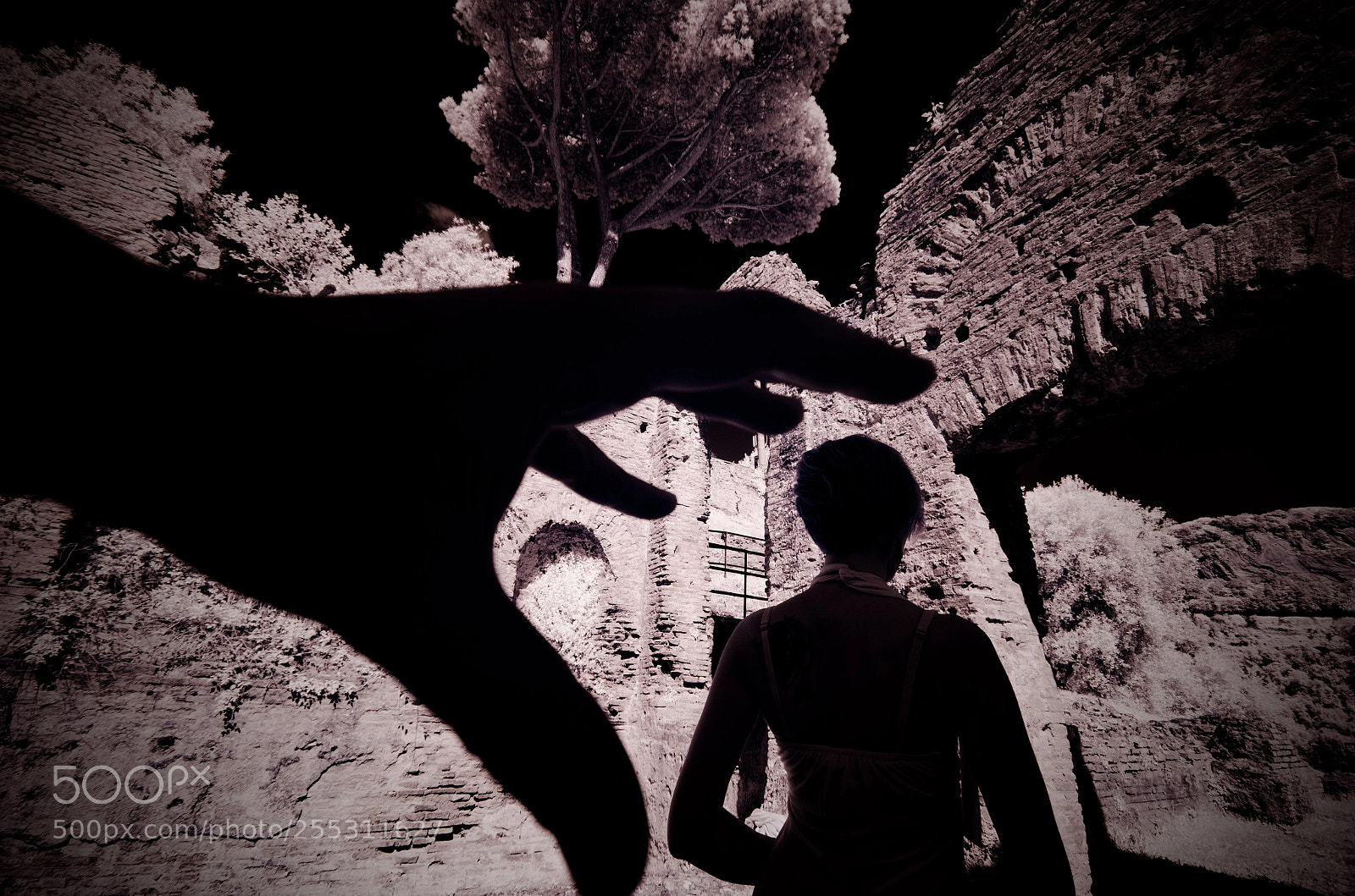 Nikon D5100 sample photo. Guardatevi le spalle! photography