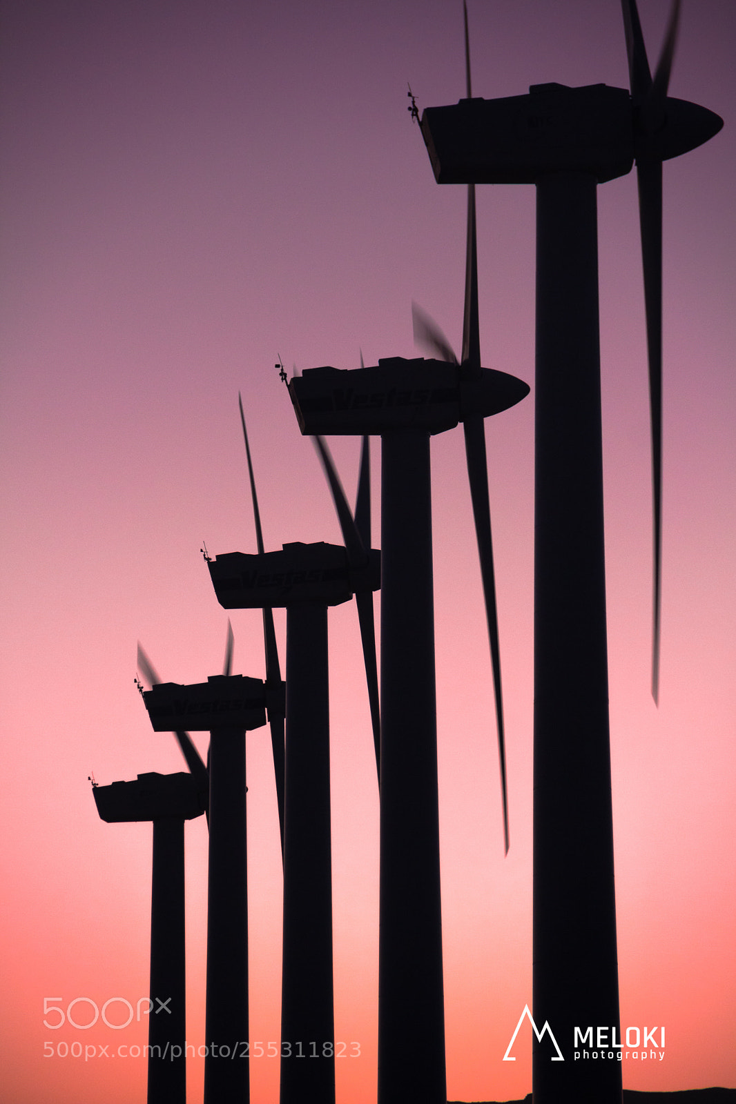 Canon EOS 60D sample photo. Wind trees photography