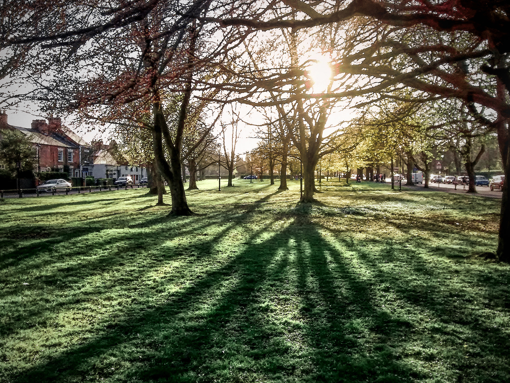Motorola Moto G sample photo. Spring photography