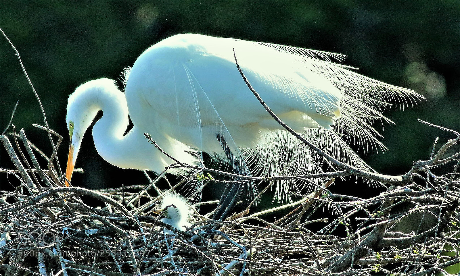 Canon EOS 70D sample photo. Mom and little one photography