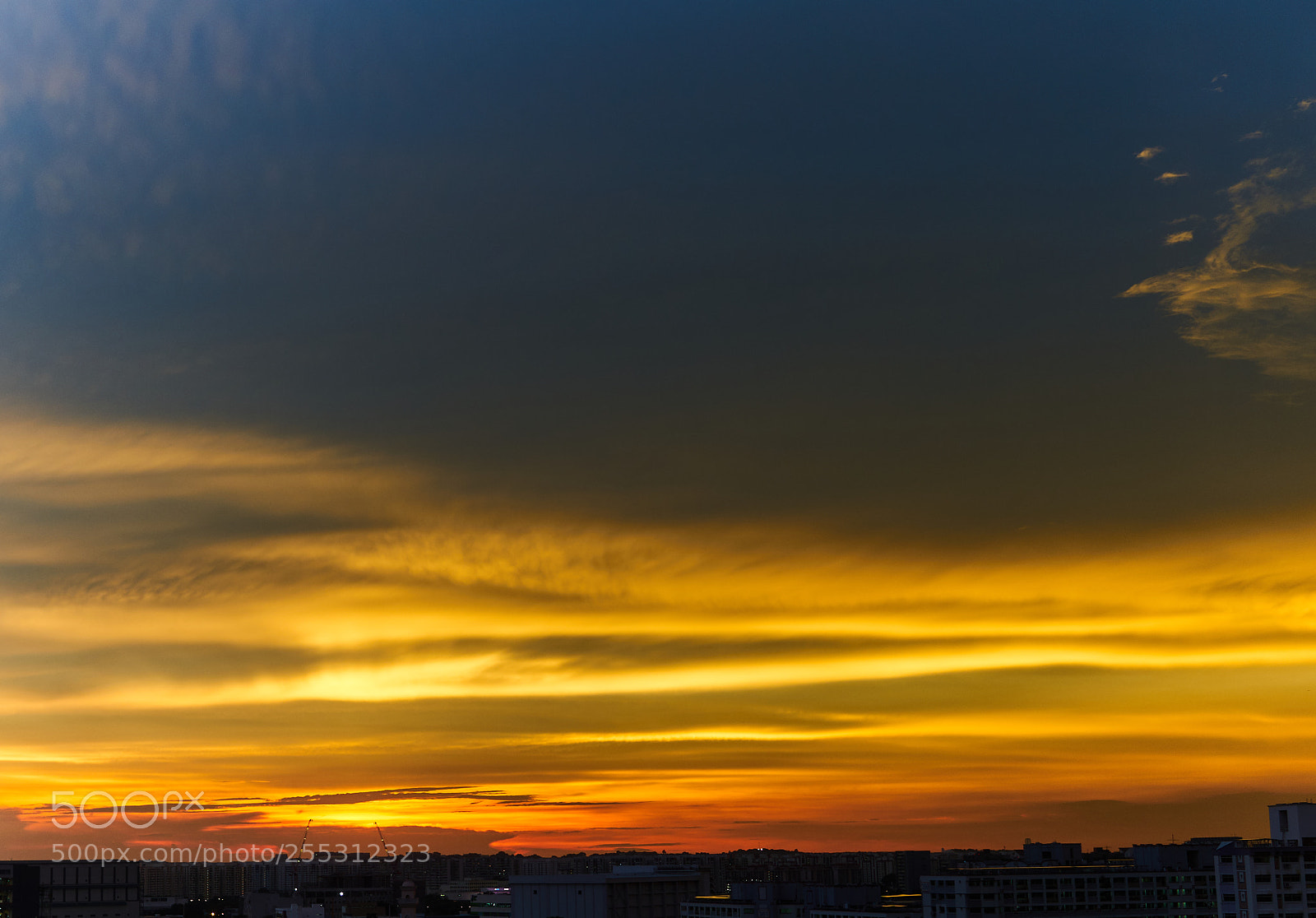 Sony a7R II sample photo. Return of the fire photography