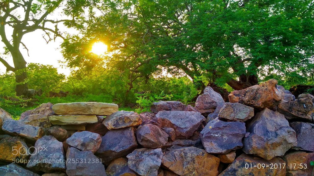 Xiaomi Redmi 4 Pro sample photo. Nature photography