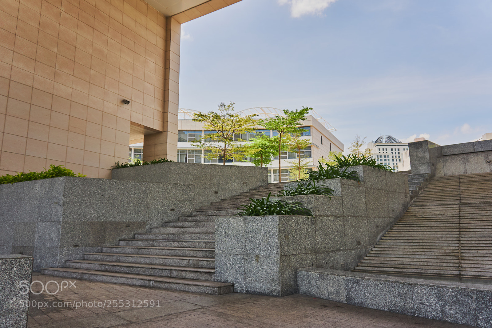 Sony a6000 sample photo. The stairs photography
