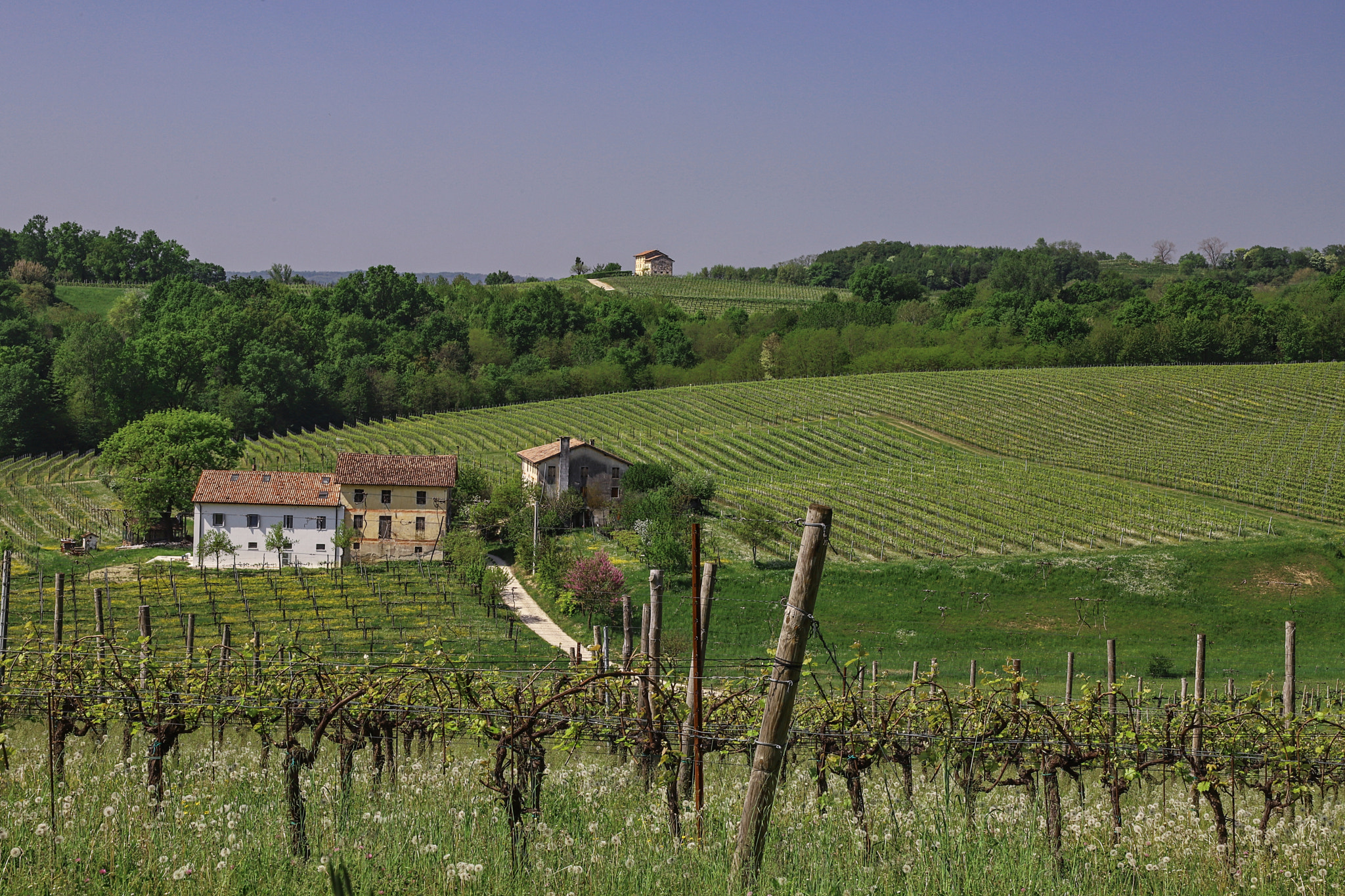 Canon EOS 6D Mark II sample photo. Spring italy photography