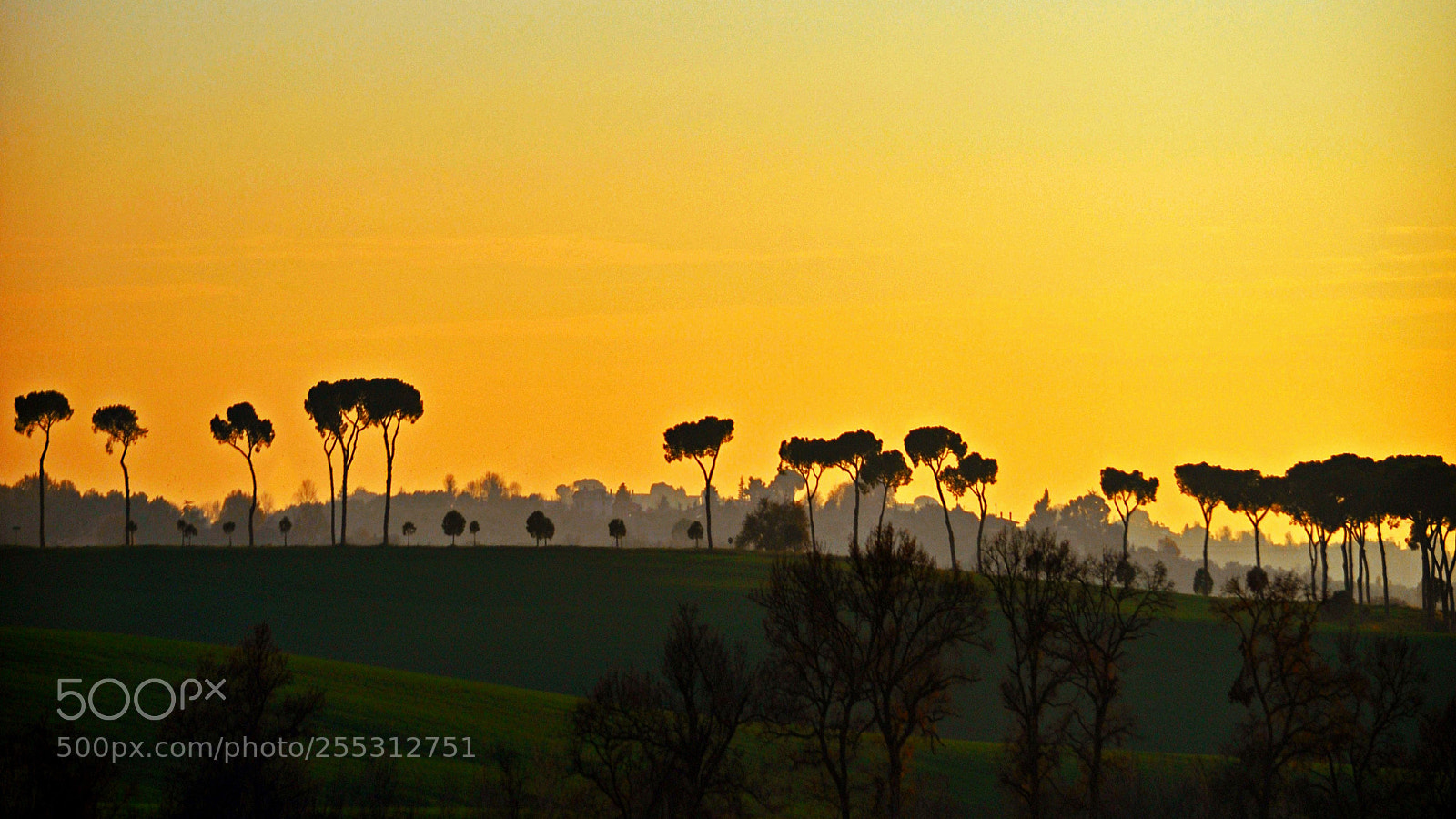 Nikon D5000 sample photo. Traveling to naples photography