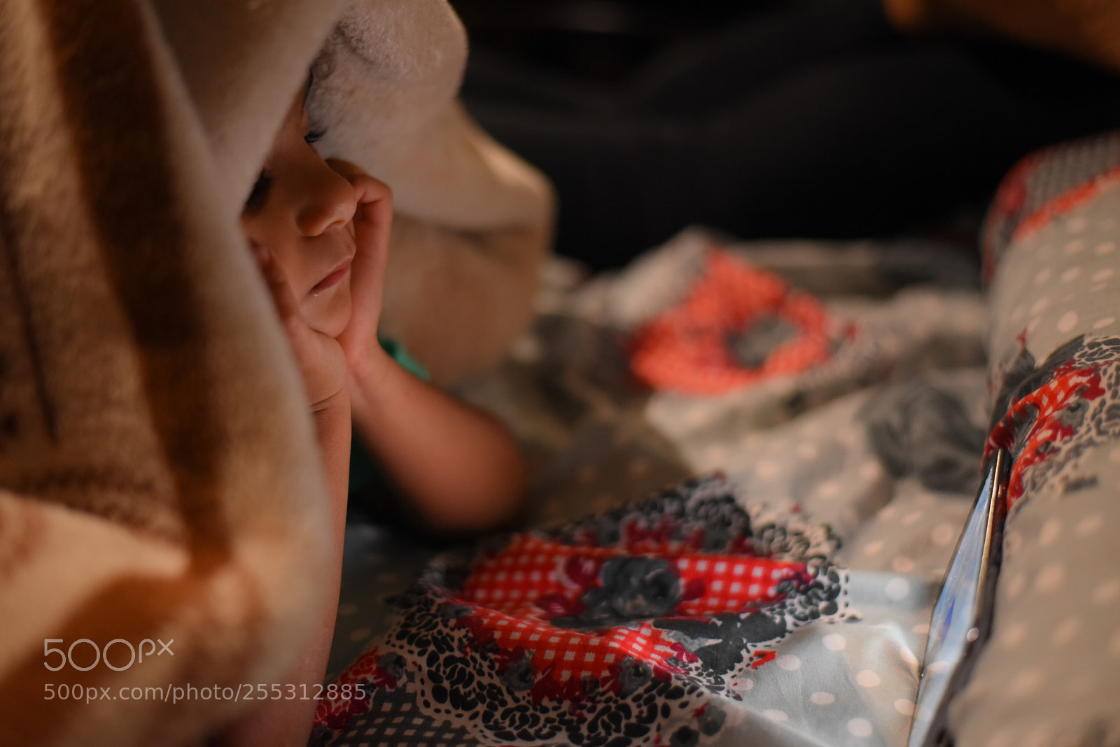 Nikon D750 + Nikon AF-S Nikkor 50mm F1.8G sample photo. Haya photography