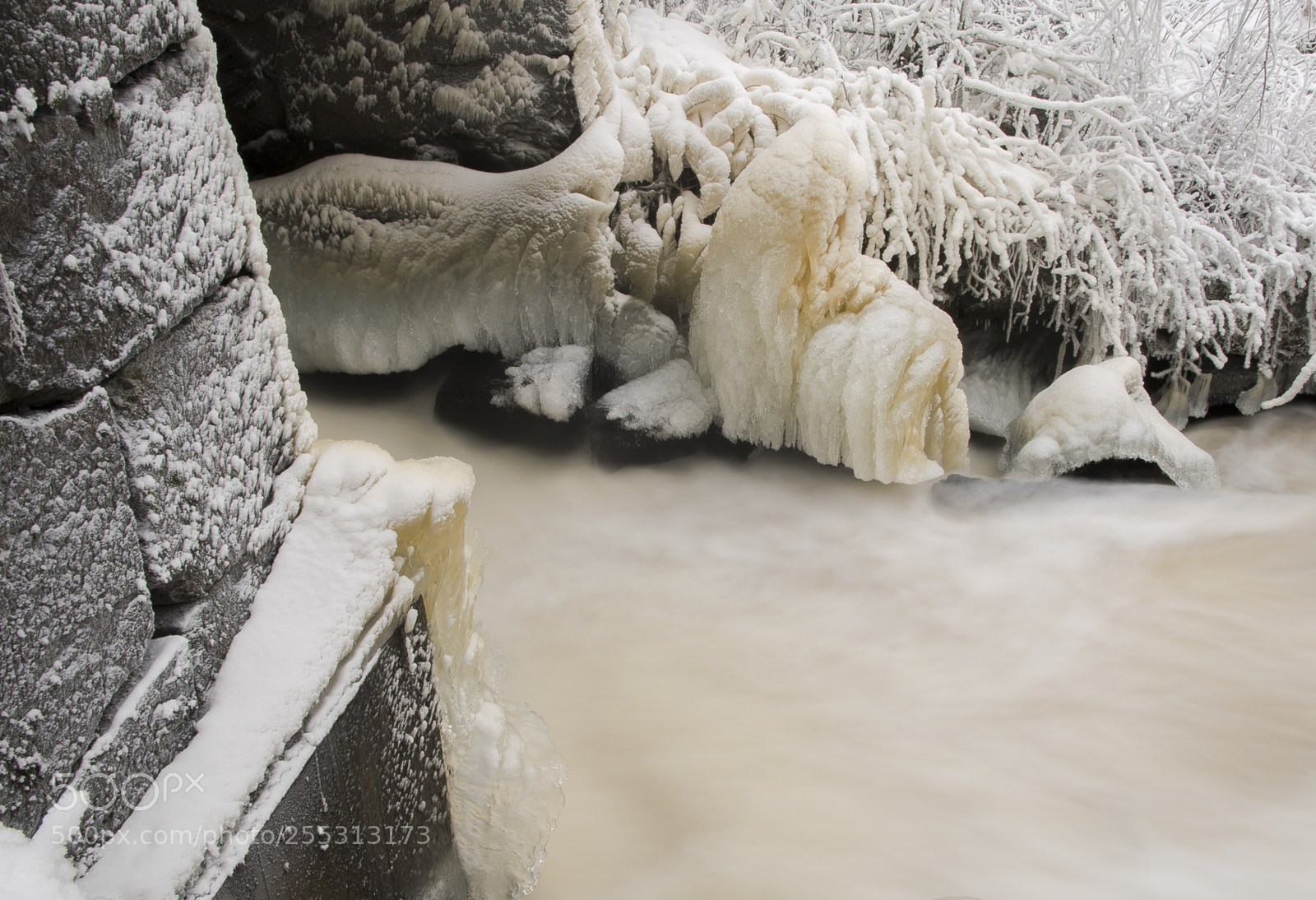 Nikon D5300 sample photo. Winter photography