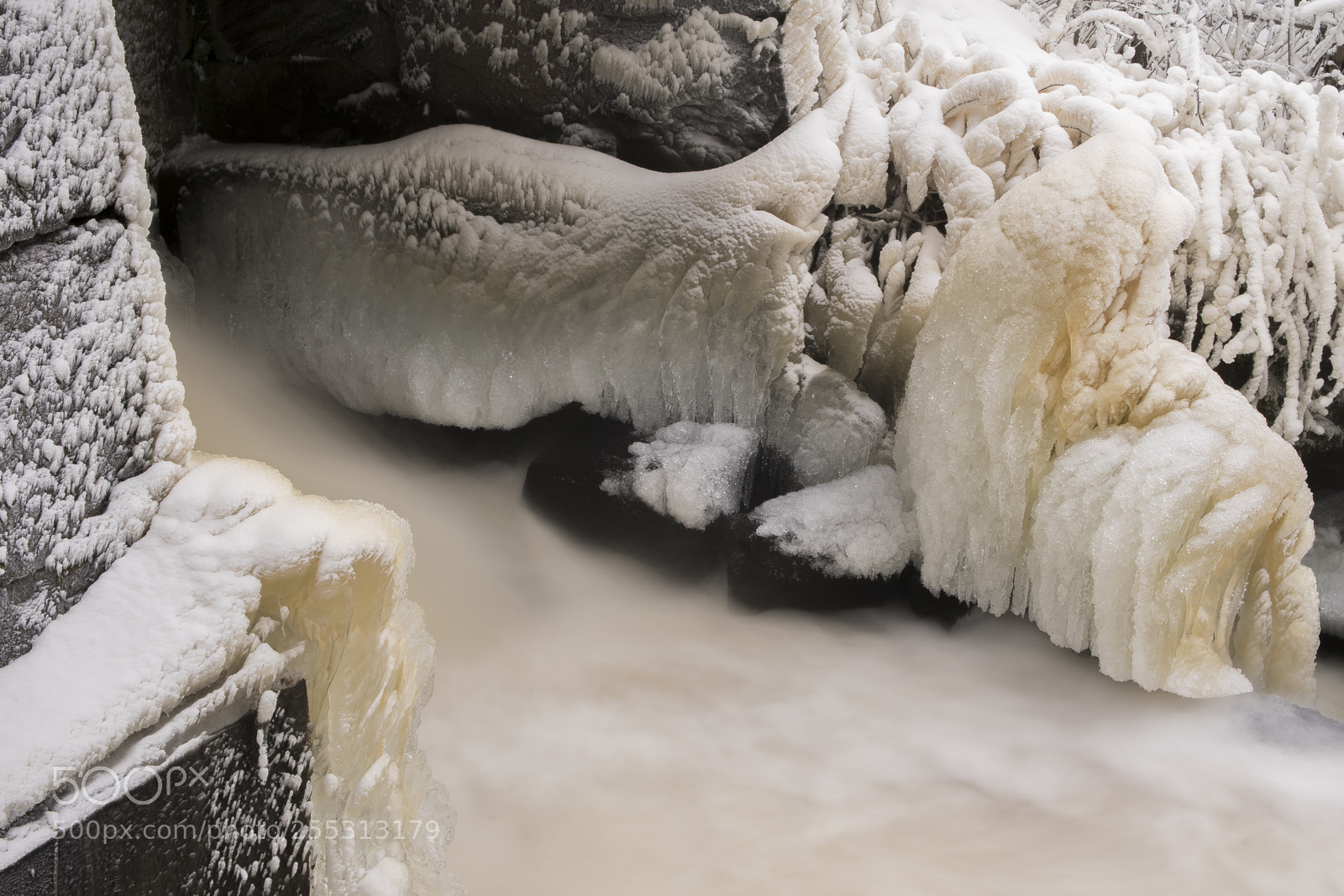 Nikon D5300 sample photo. Winter photography