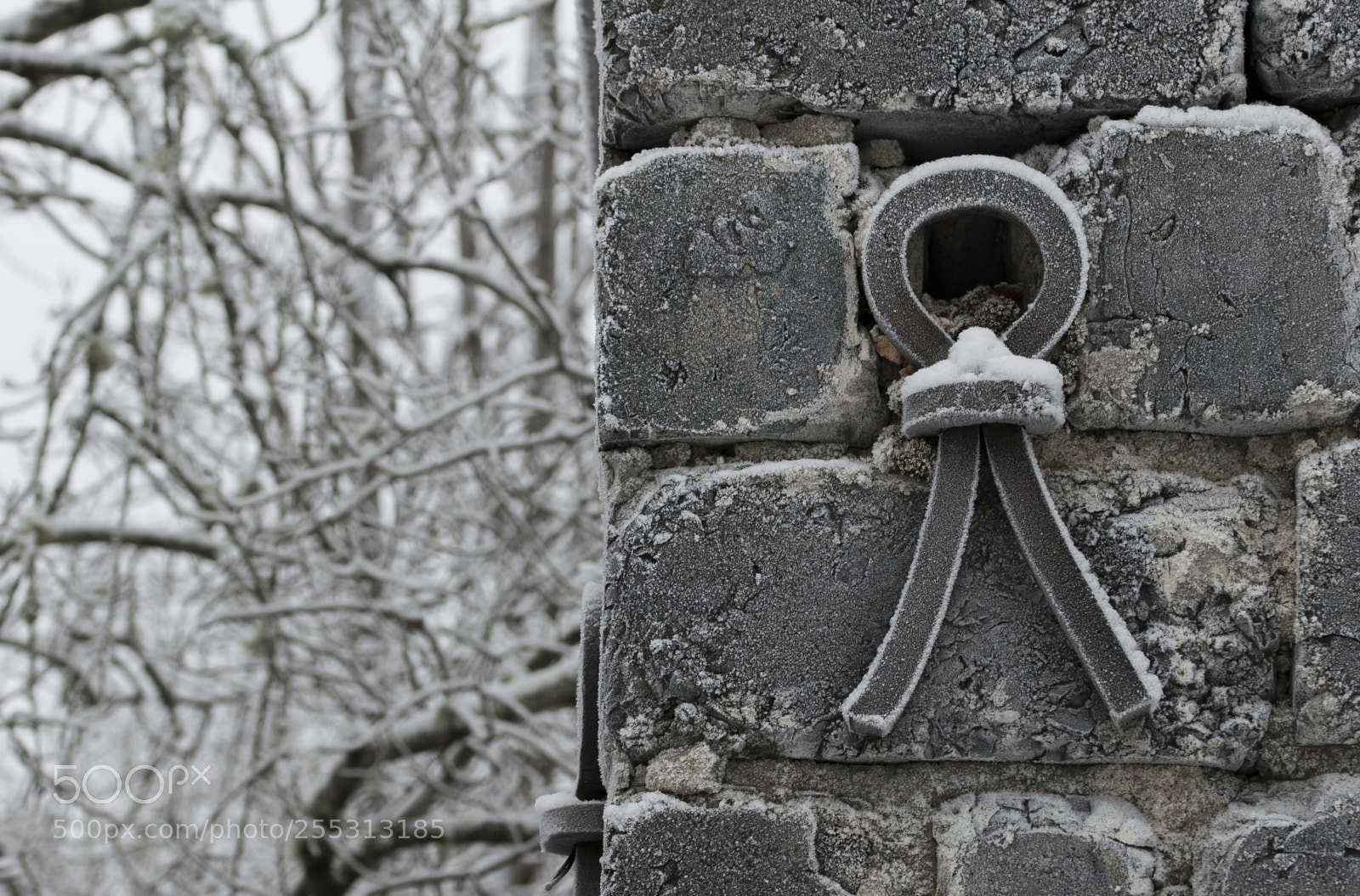 Nikon D5300 sample photo. Winter photography