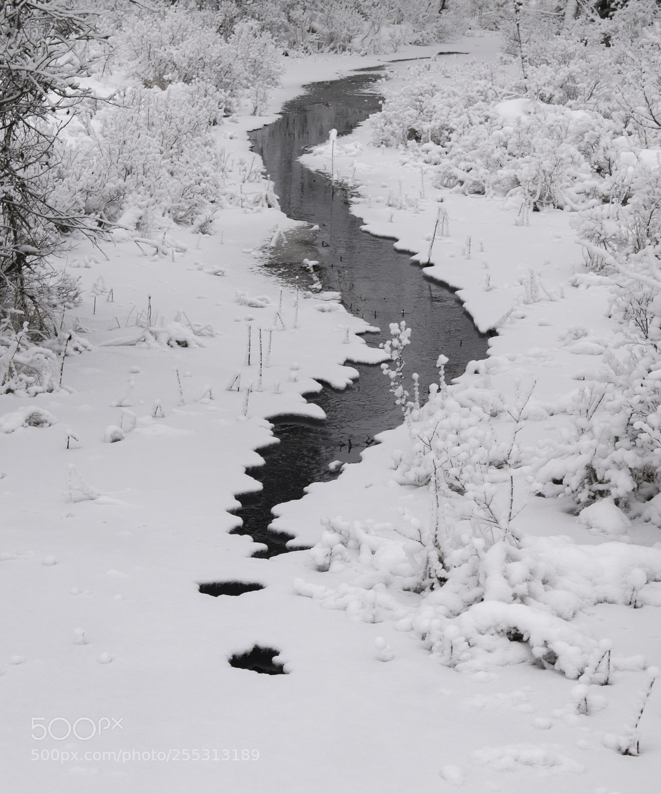 Nikon D5300 sample photo. Winter photography