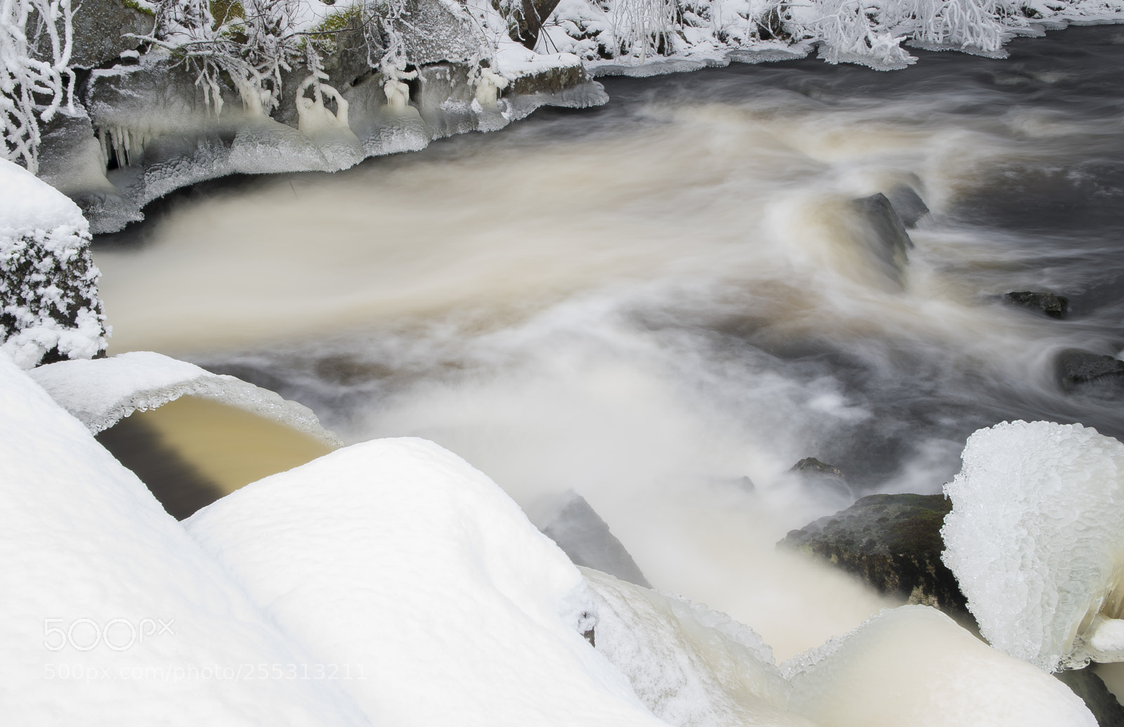 Nikon D5300 sample photo. Winter photography