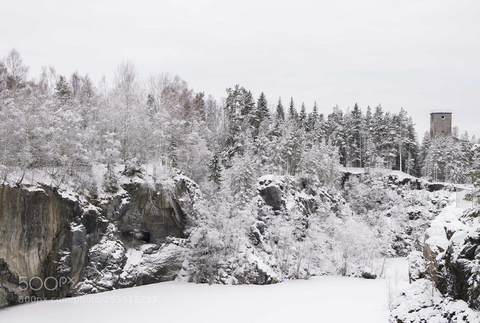 Nikon D5300 sample photo. Winter photography
