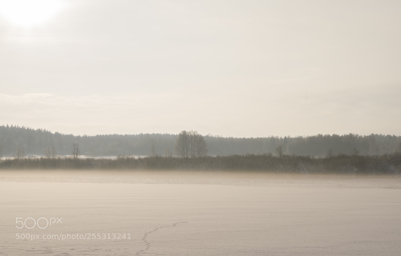 Nikon D5300 sample photo. Winter photography