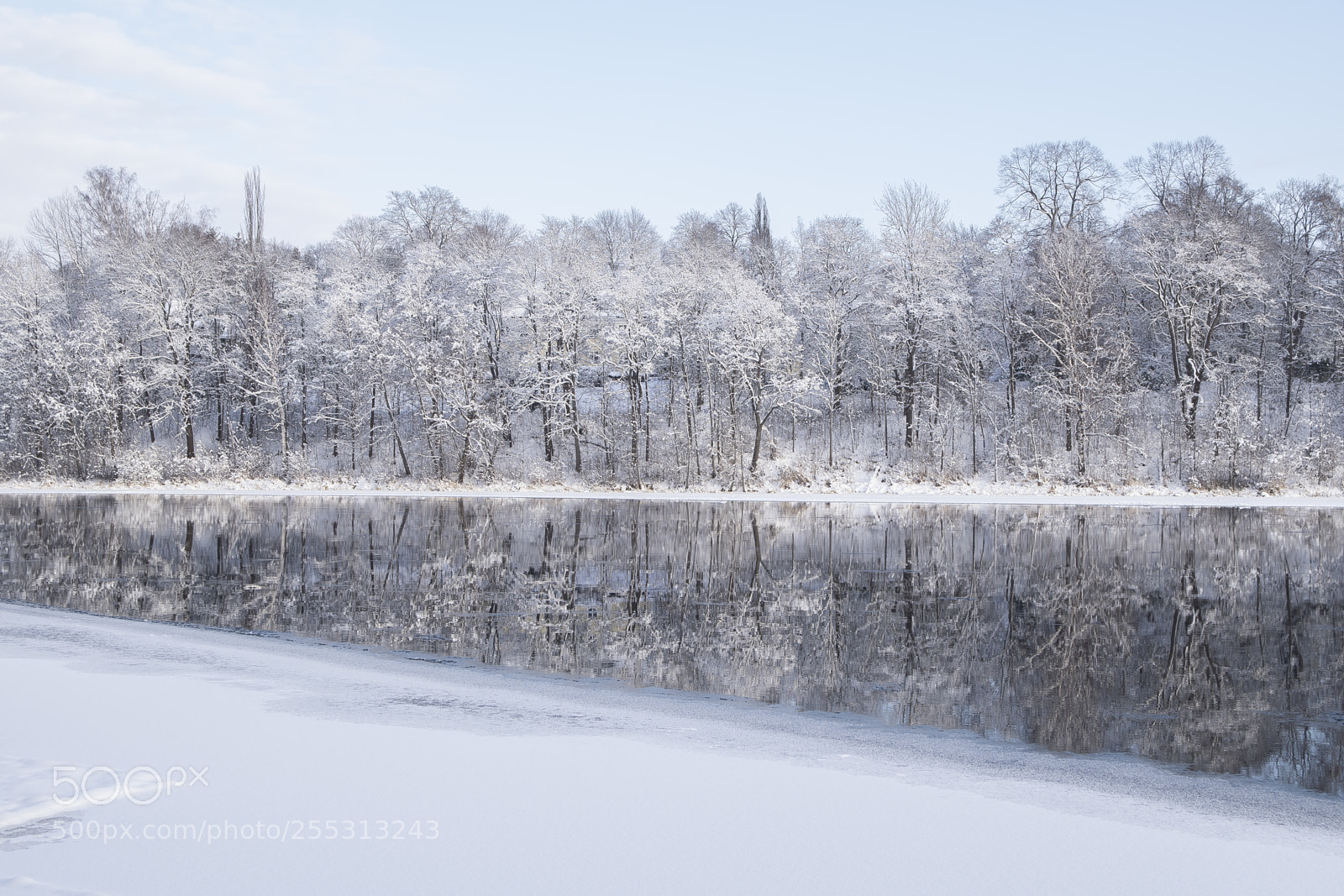 Nikon D5300 sample photo. Winter photography