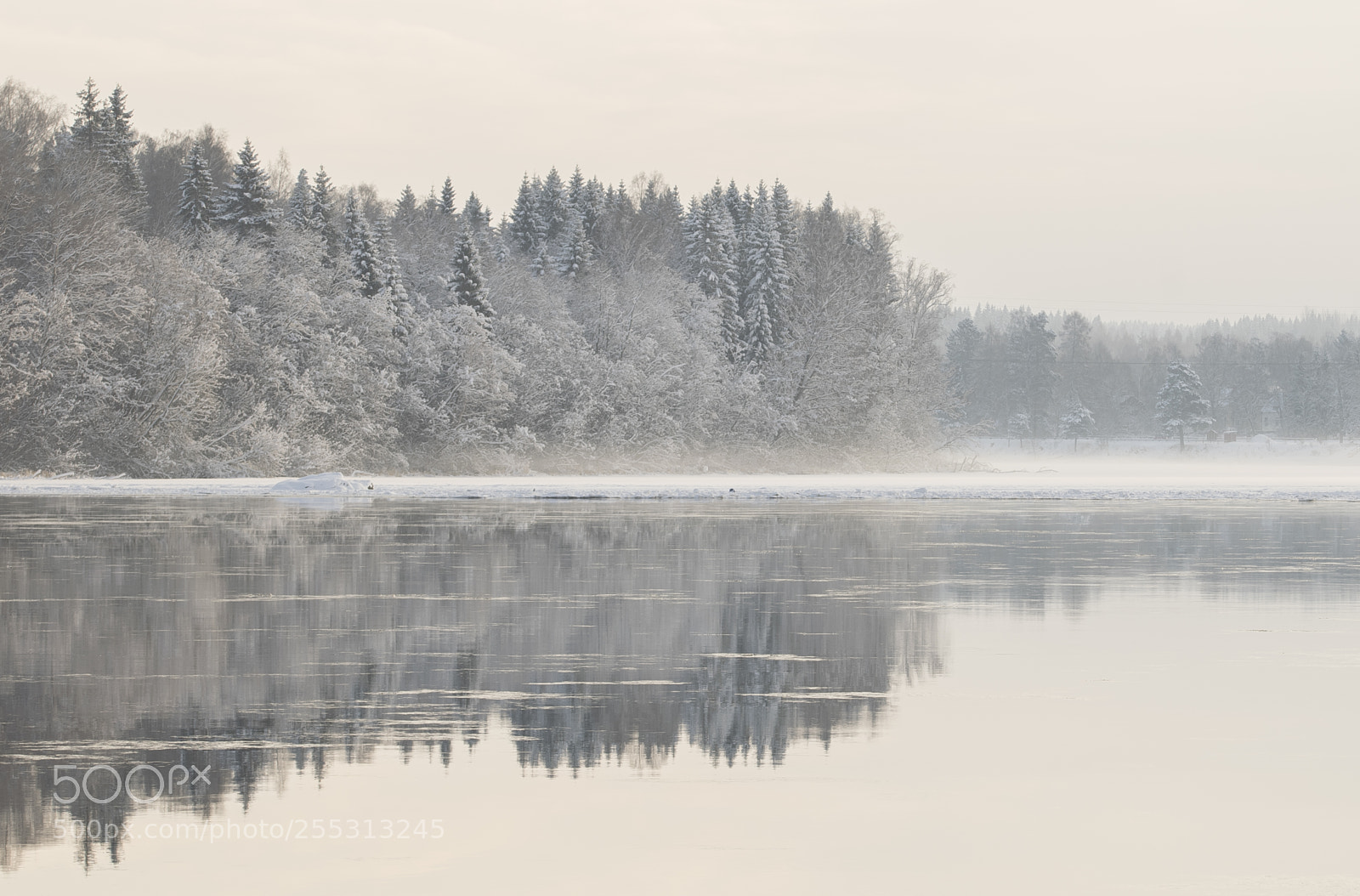 Nikon D5300 sample photo. Winter photography