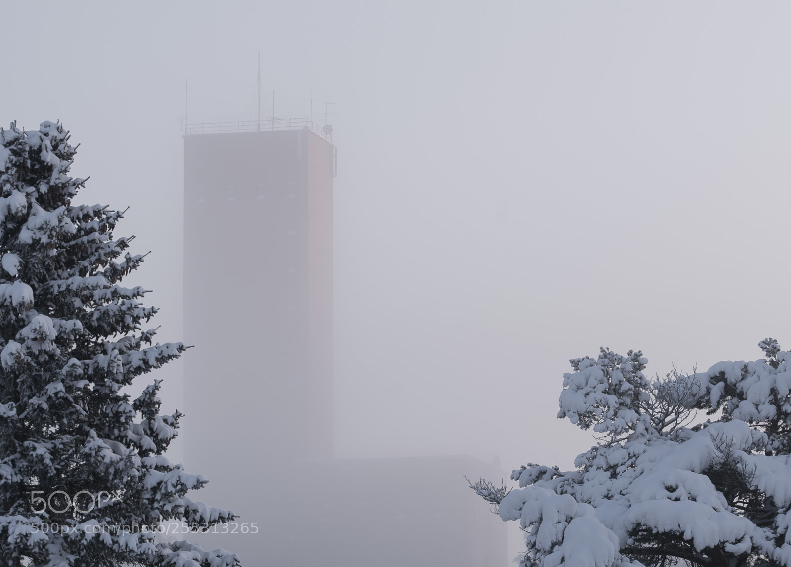 Nikon D5300 sample photo. Winter photography