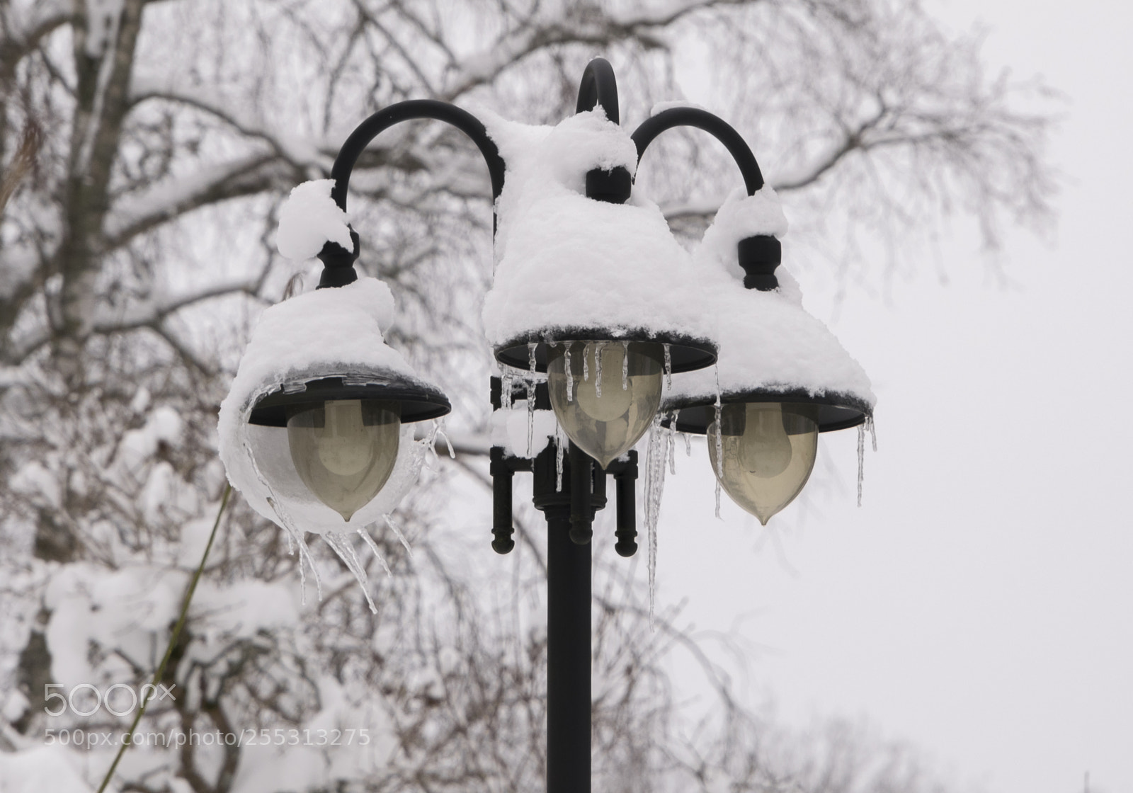 Nikon D5300 sample photo. Winter photography